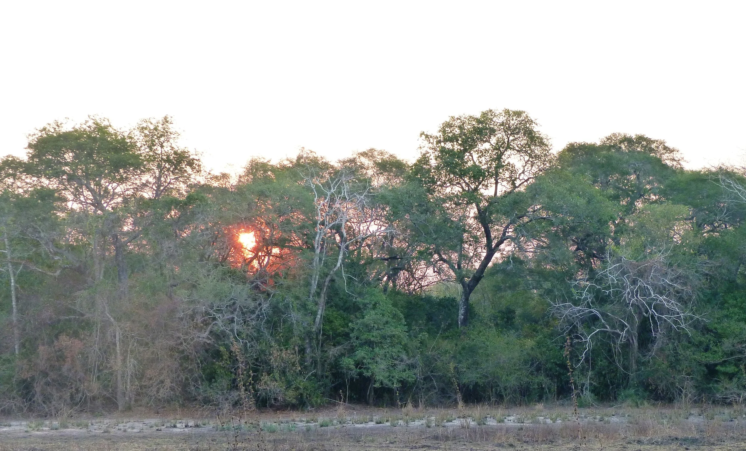 Zalula Pan 15 July 2012 (50).JPG