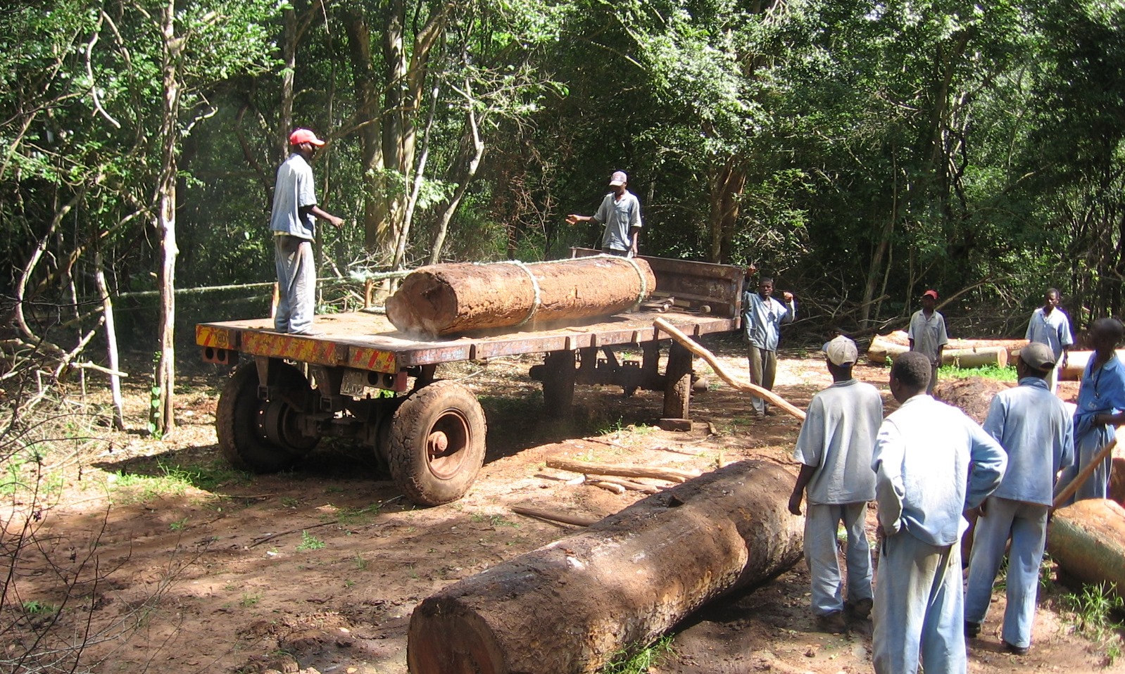 All loading done manually to avoid heavy equipment on the forest floor