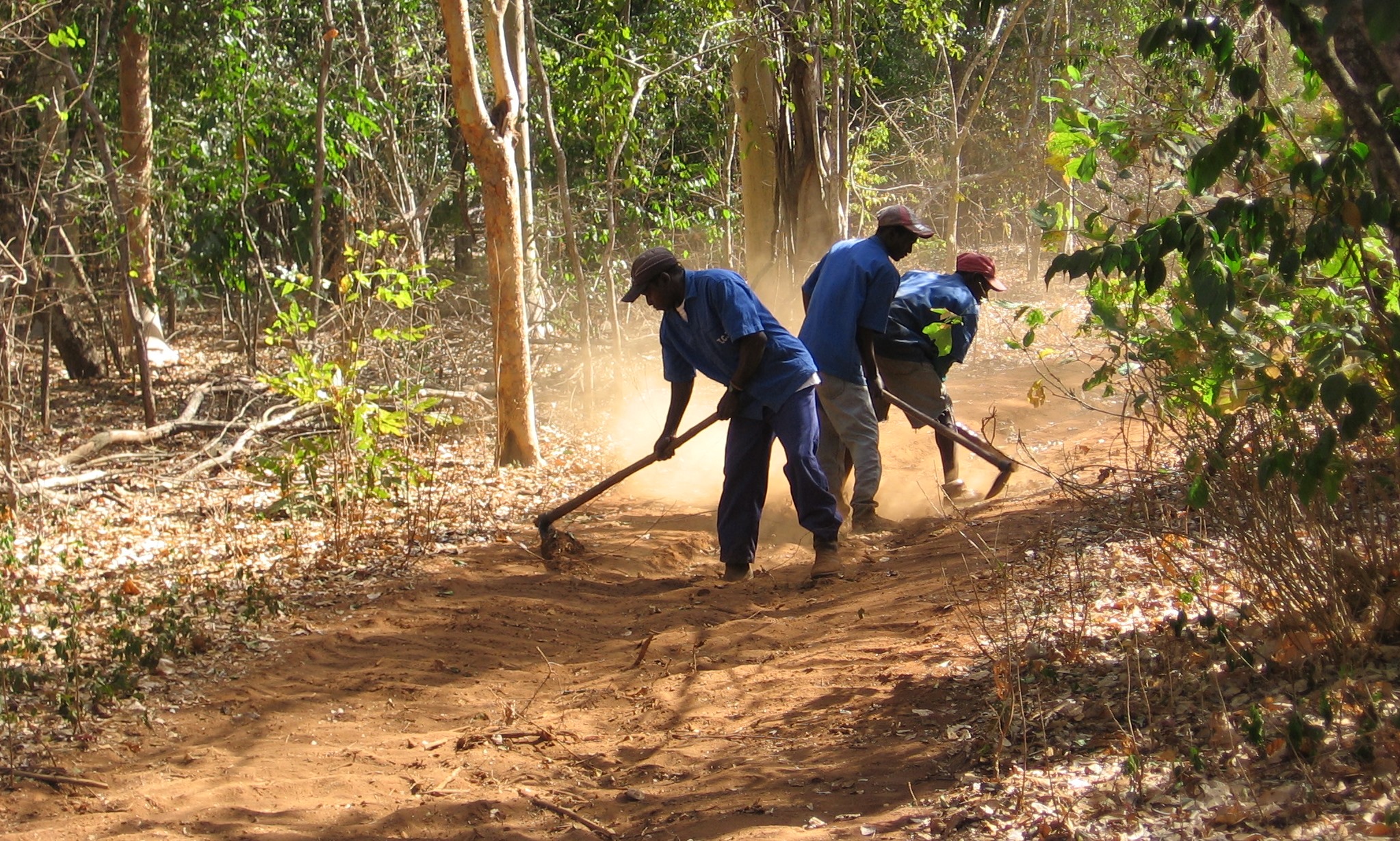 All extraction tracts are repaired either manually 