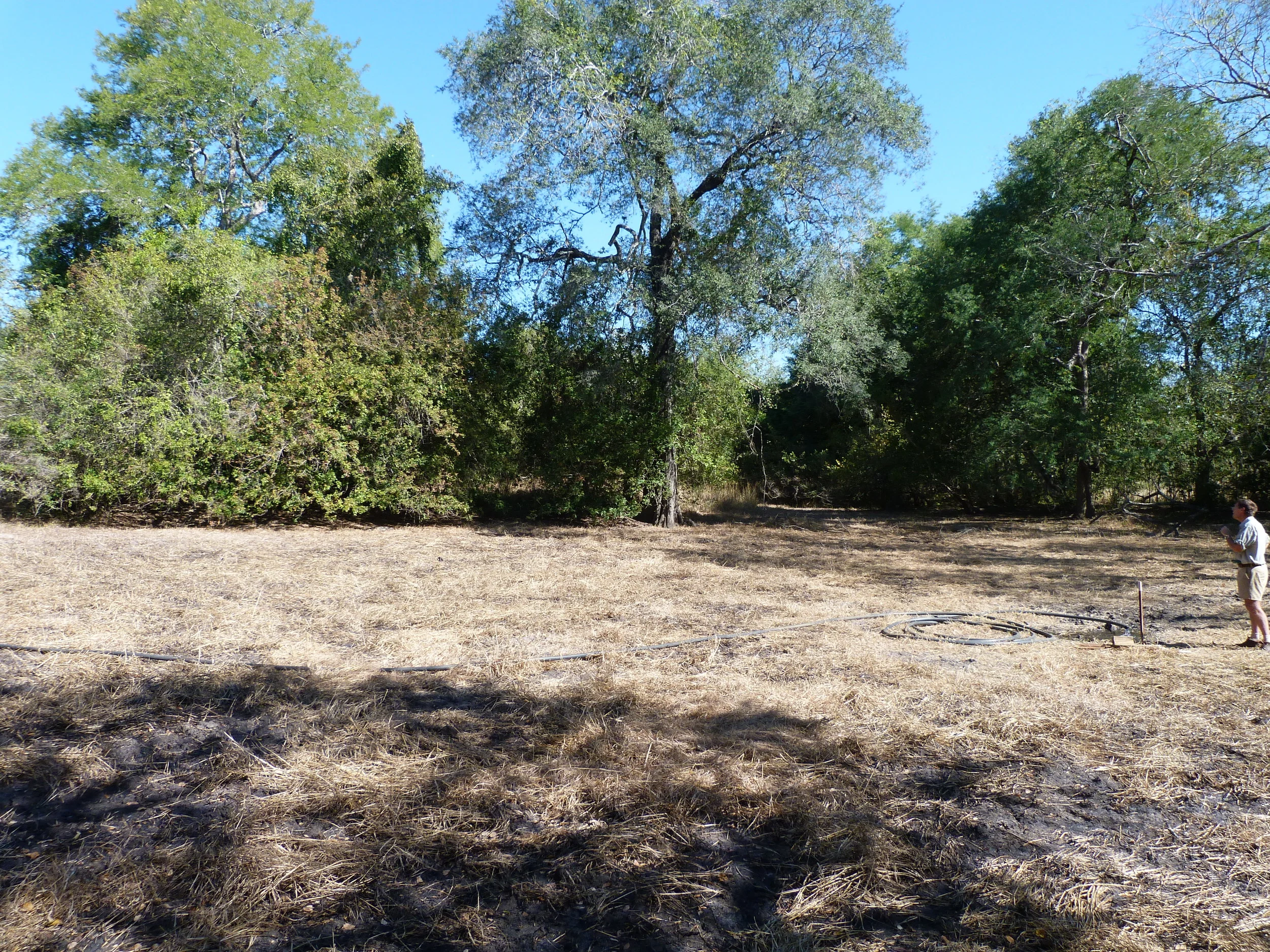 Chanfuta Pan - June 2012 (5).JPG