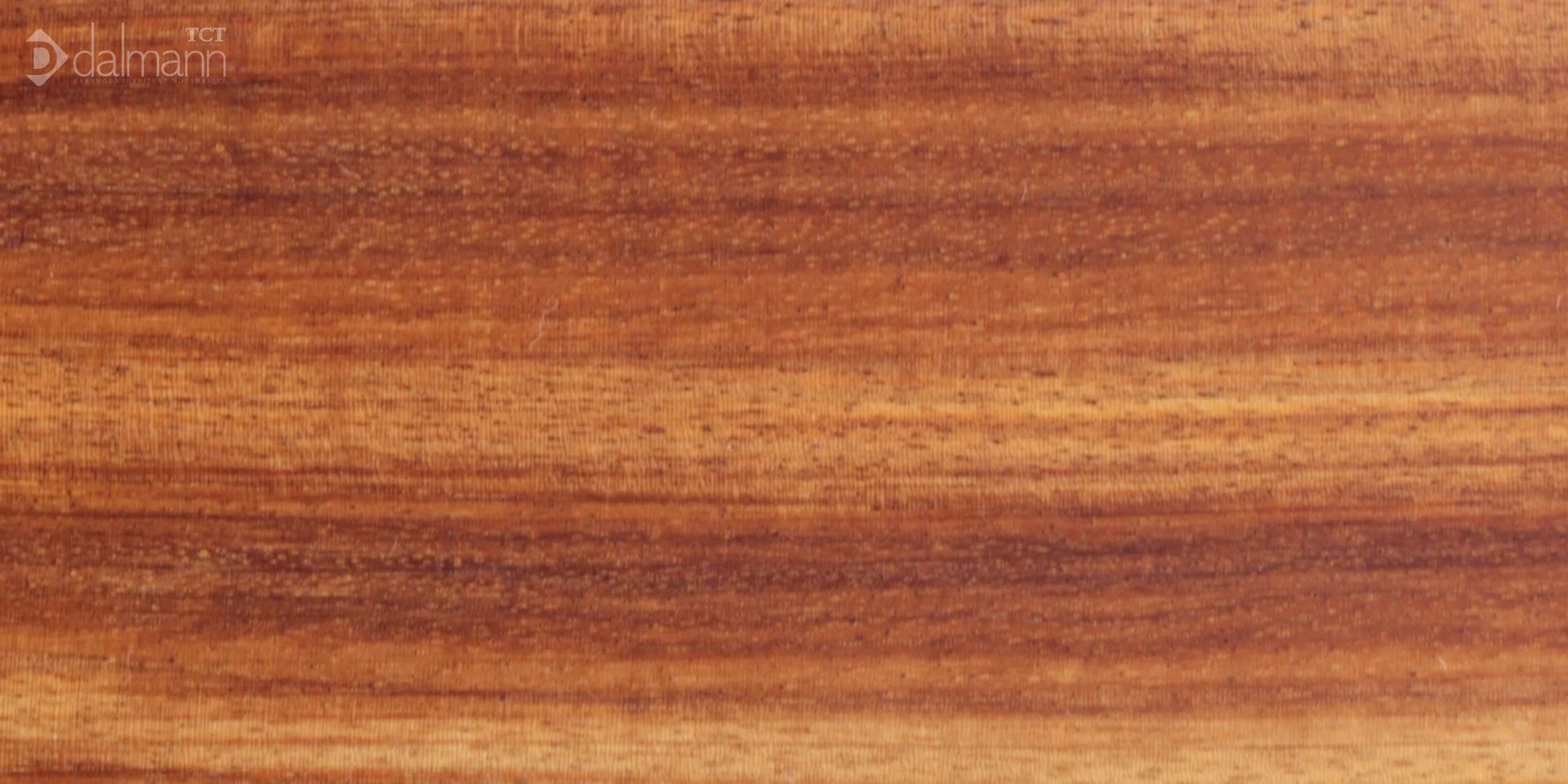 Wood sample