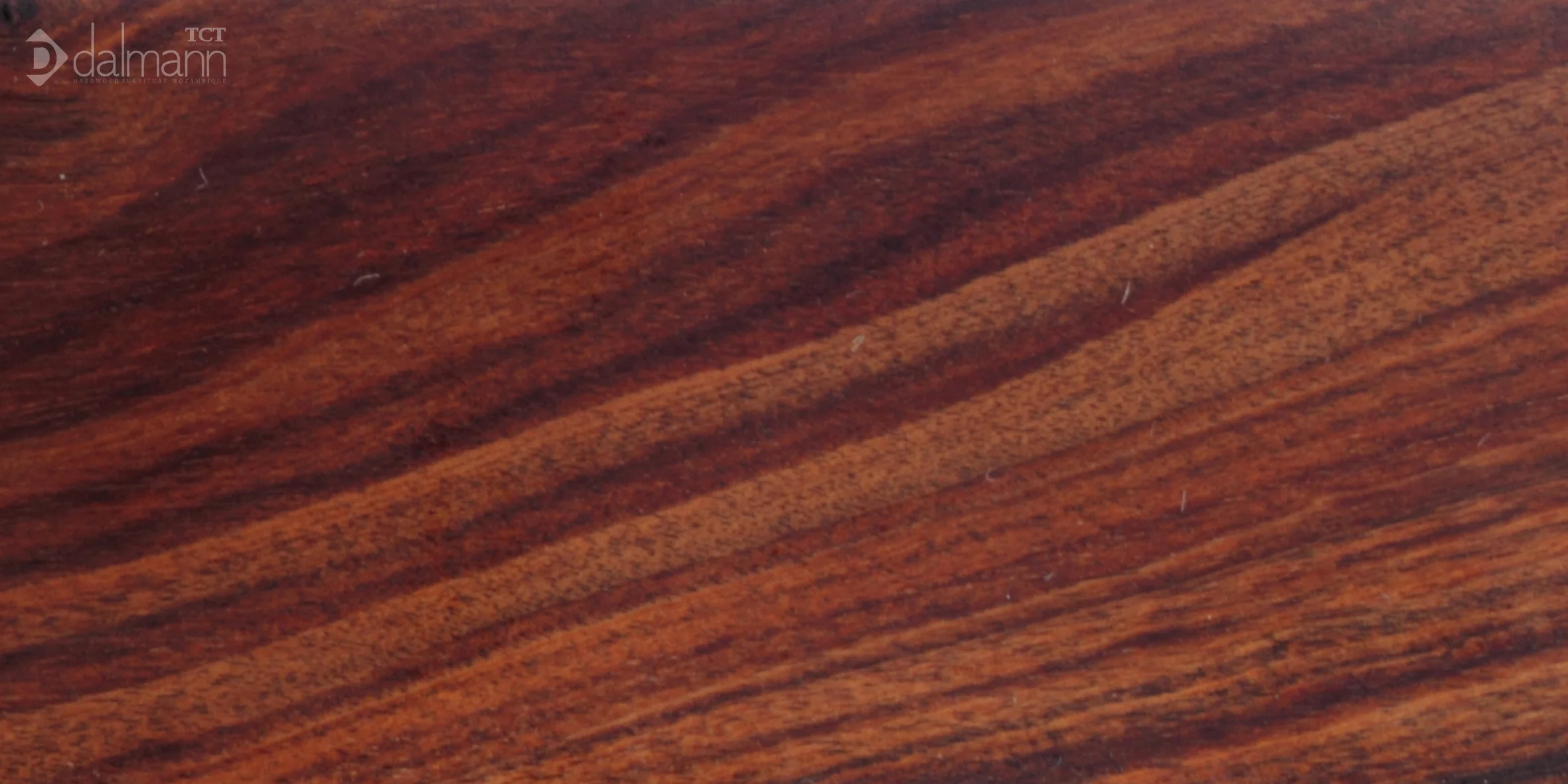 Wood sample