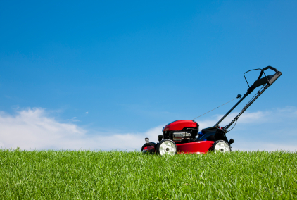 Push mowers are the best when the health of your lawn is in mind.