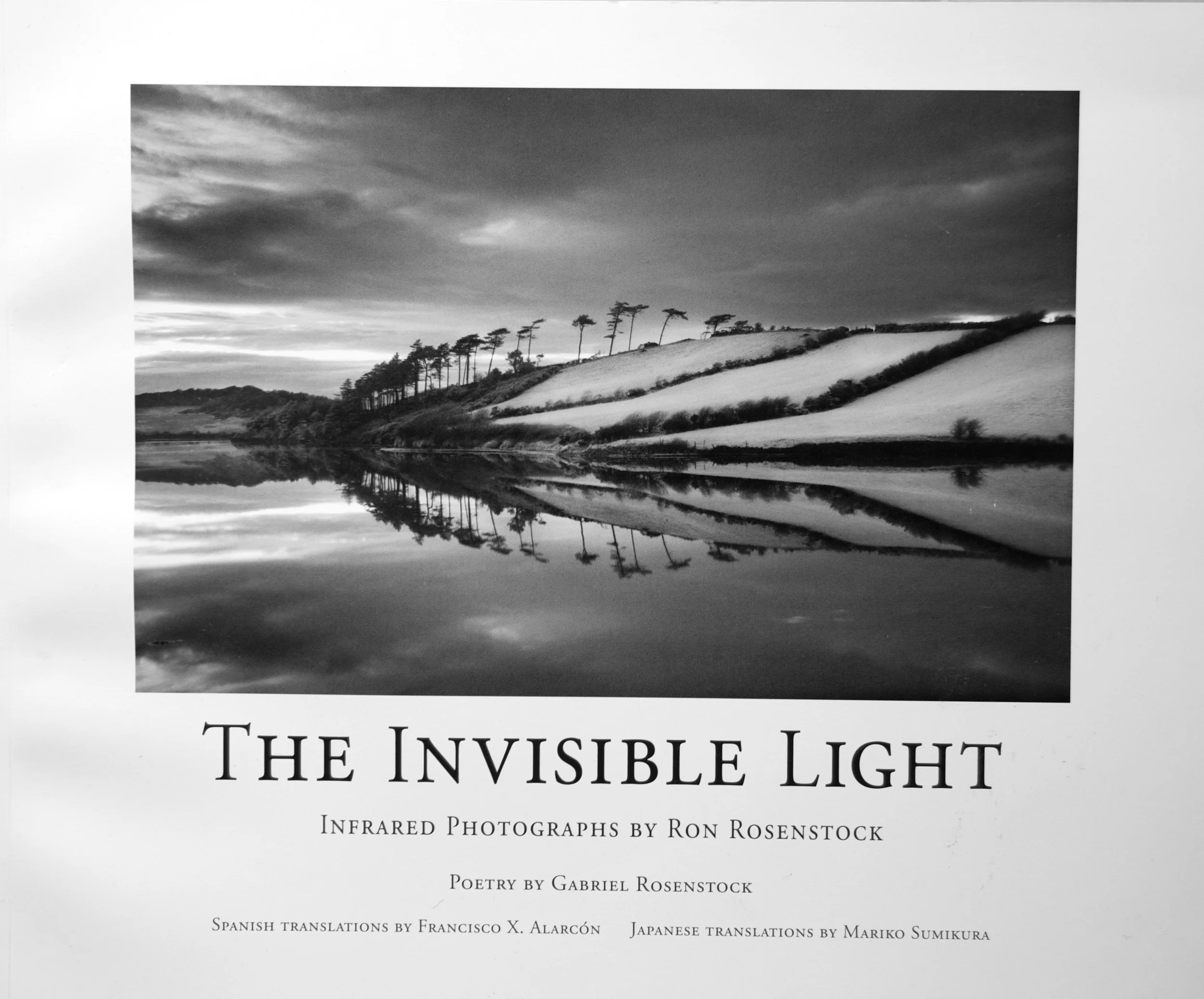 The Invisible Light Book Cover.jpg