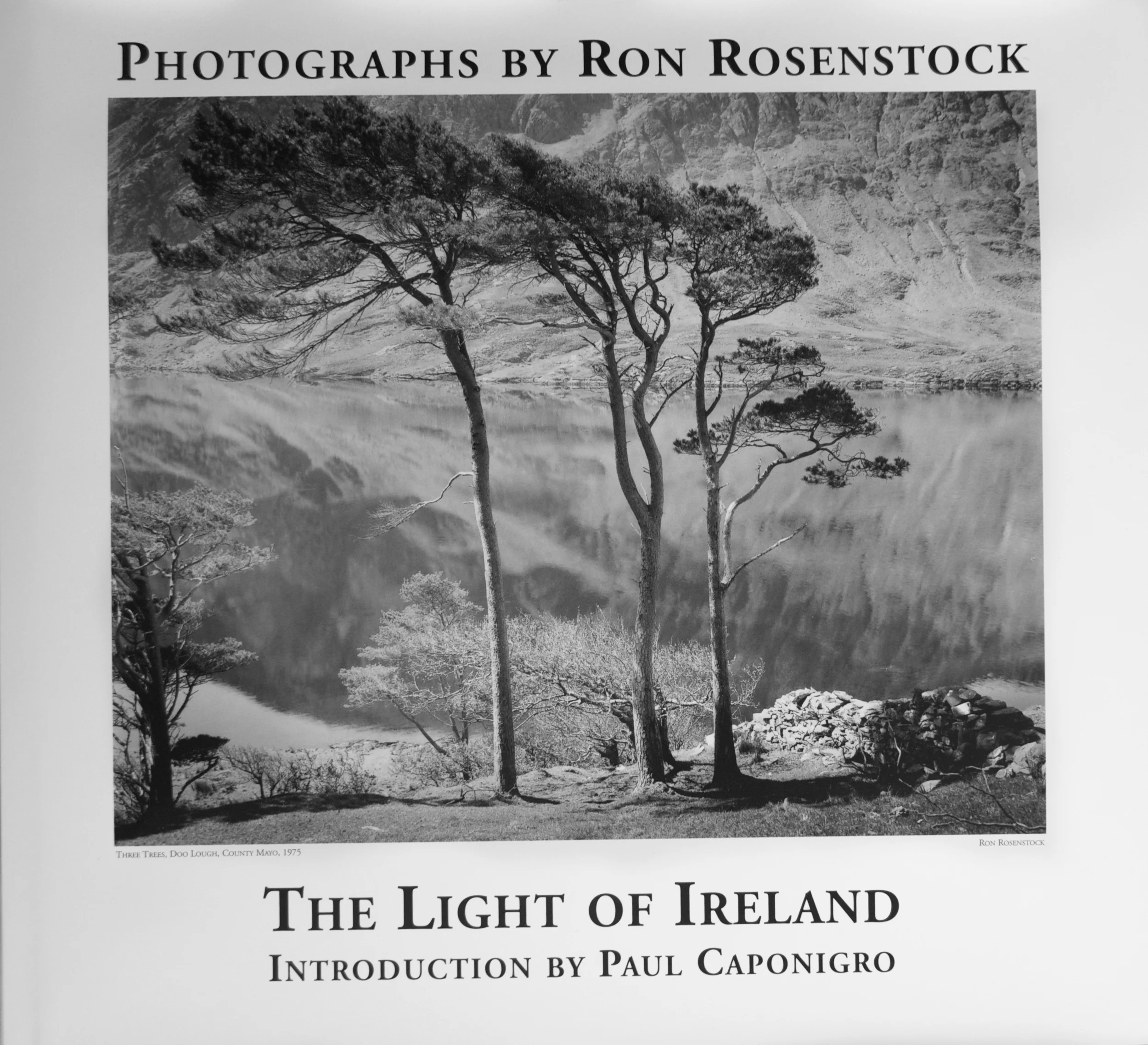 Light of Ireland Book Cover.jpg