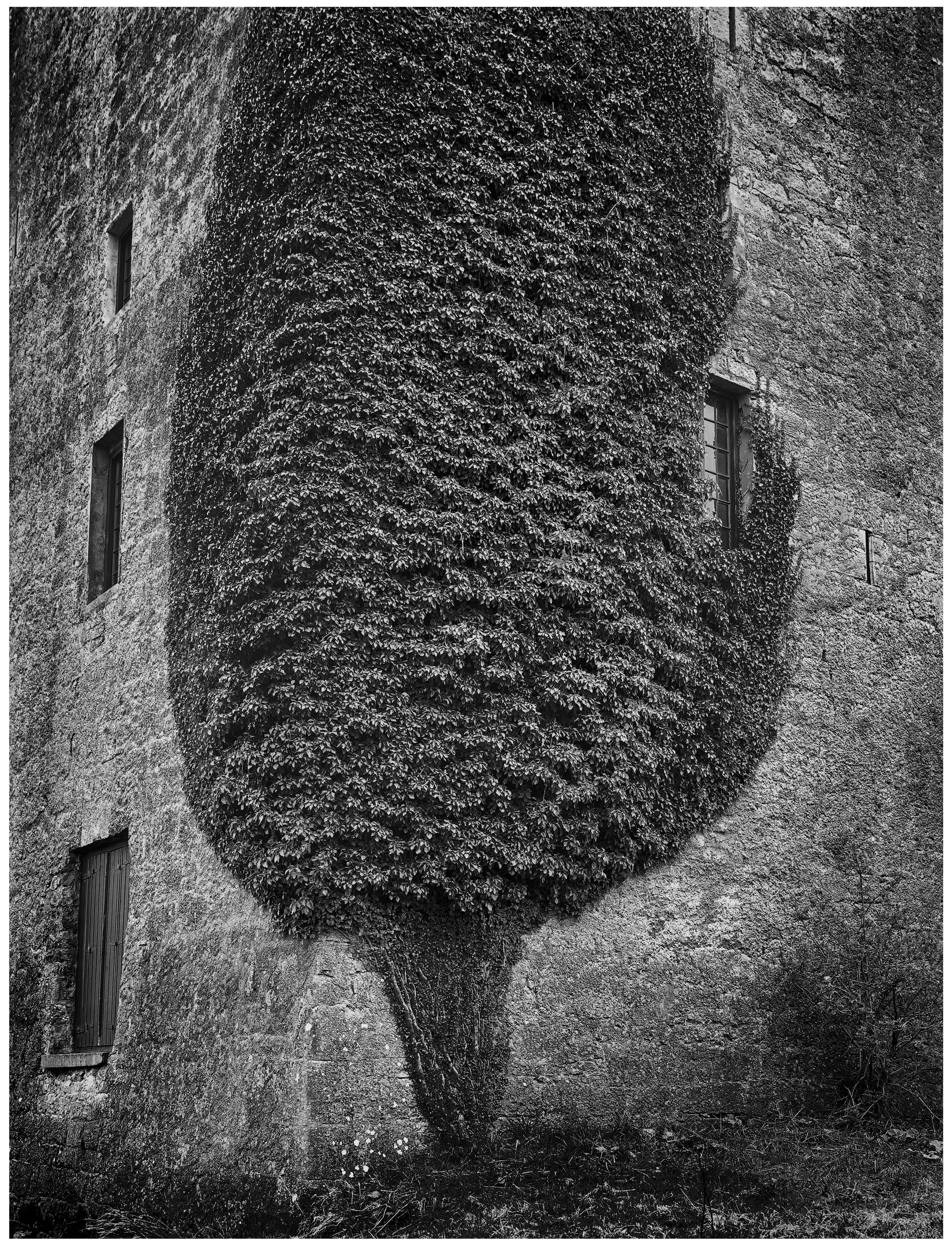 _MCD3820+DM3 1620.jpg