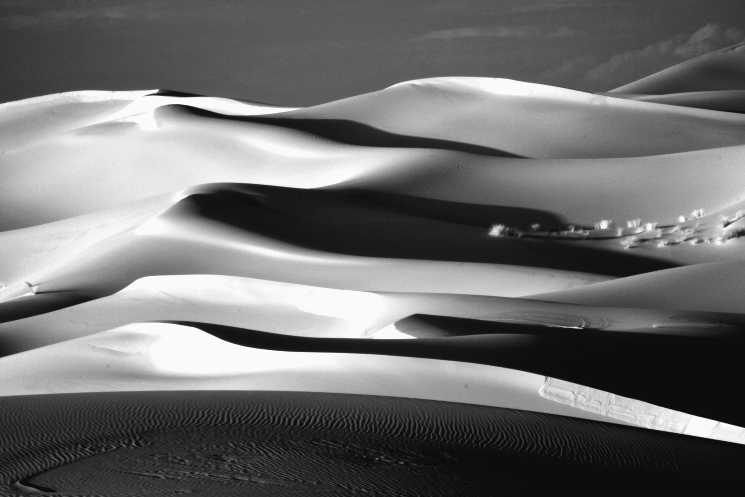 Dune Shadows, Morocco, 2009.jpg