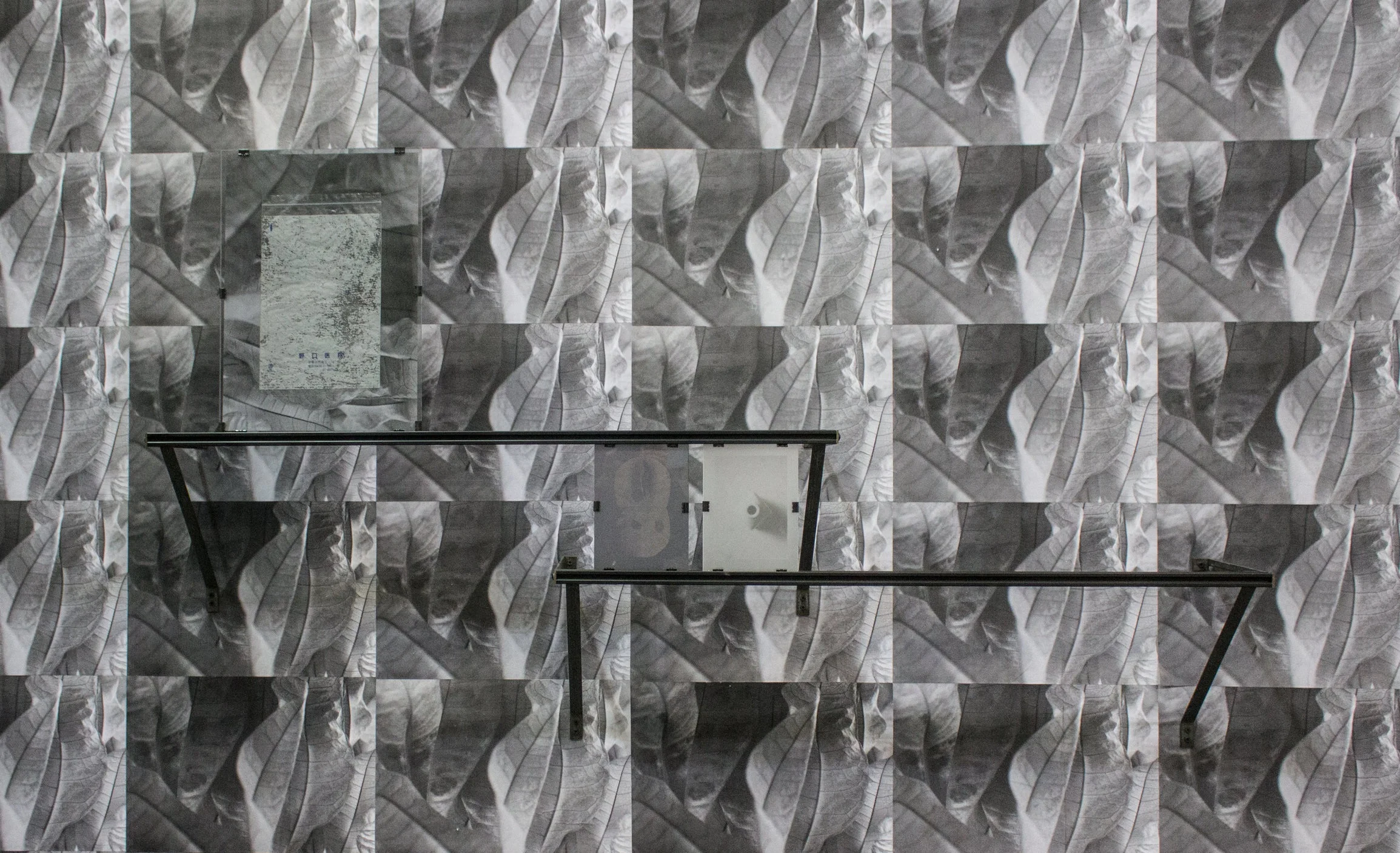 13_acrylicwall_closeup.jpg