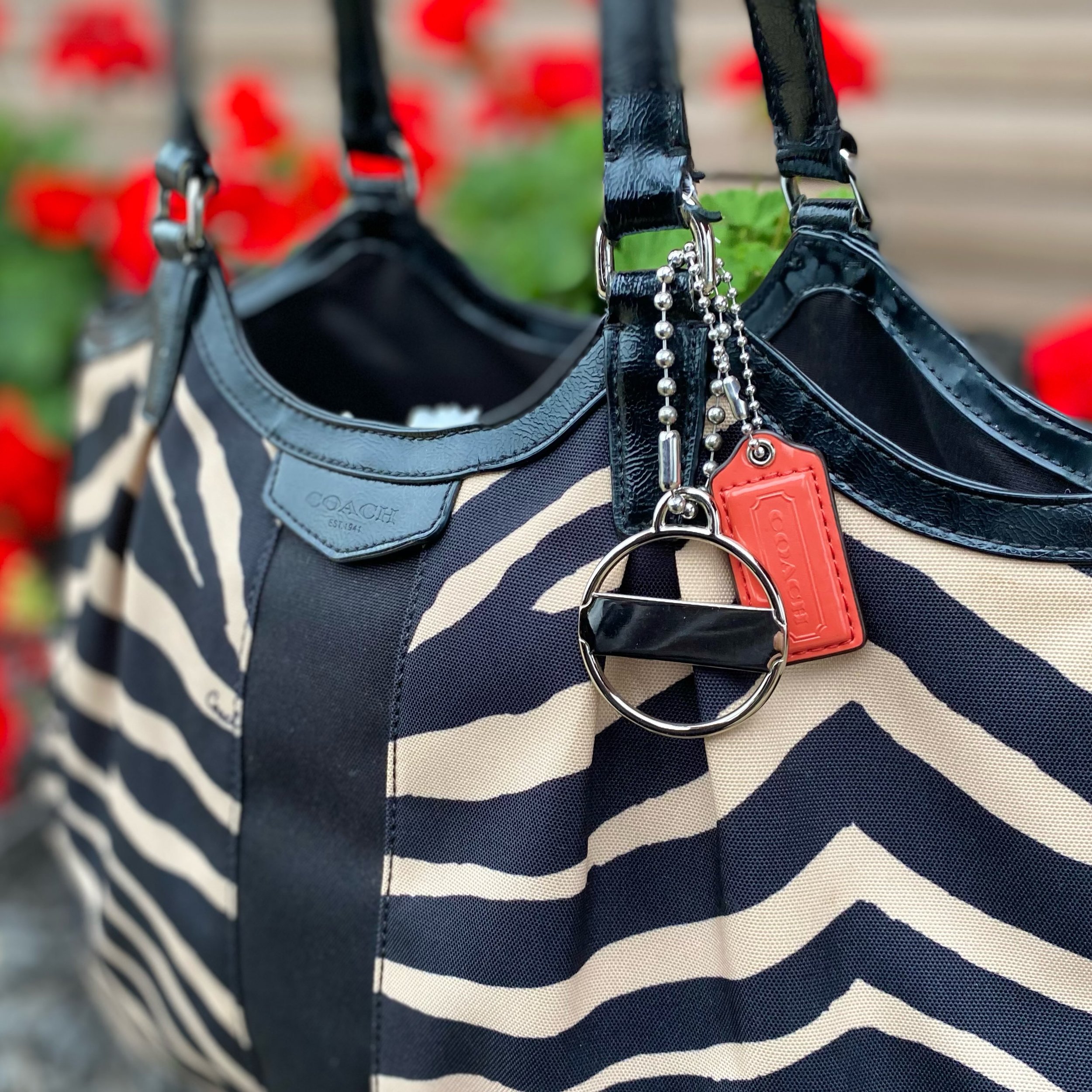 Gorgeous gorgeous Coach zebra print bag, only $75.99! 🖤