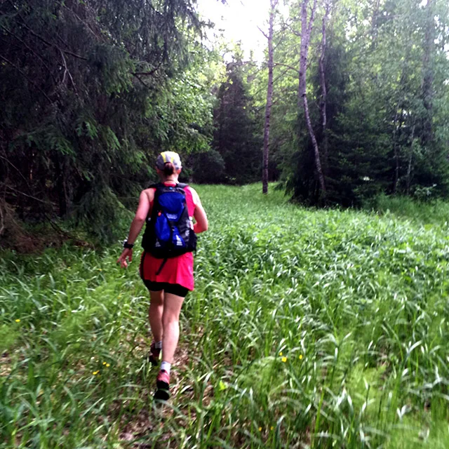 Lite svårt att se stigen ibland, särskilt på Blå leden.