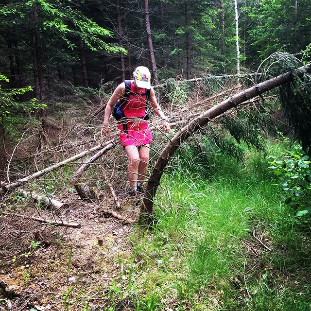 Och ibland rätt svårt att hålla uppe tempot när någon gjort en hinderbana av stigen.