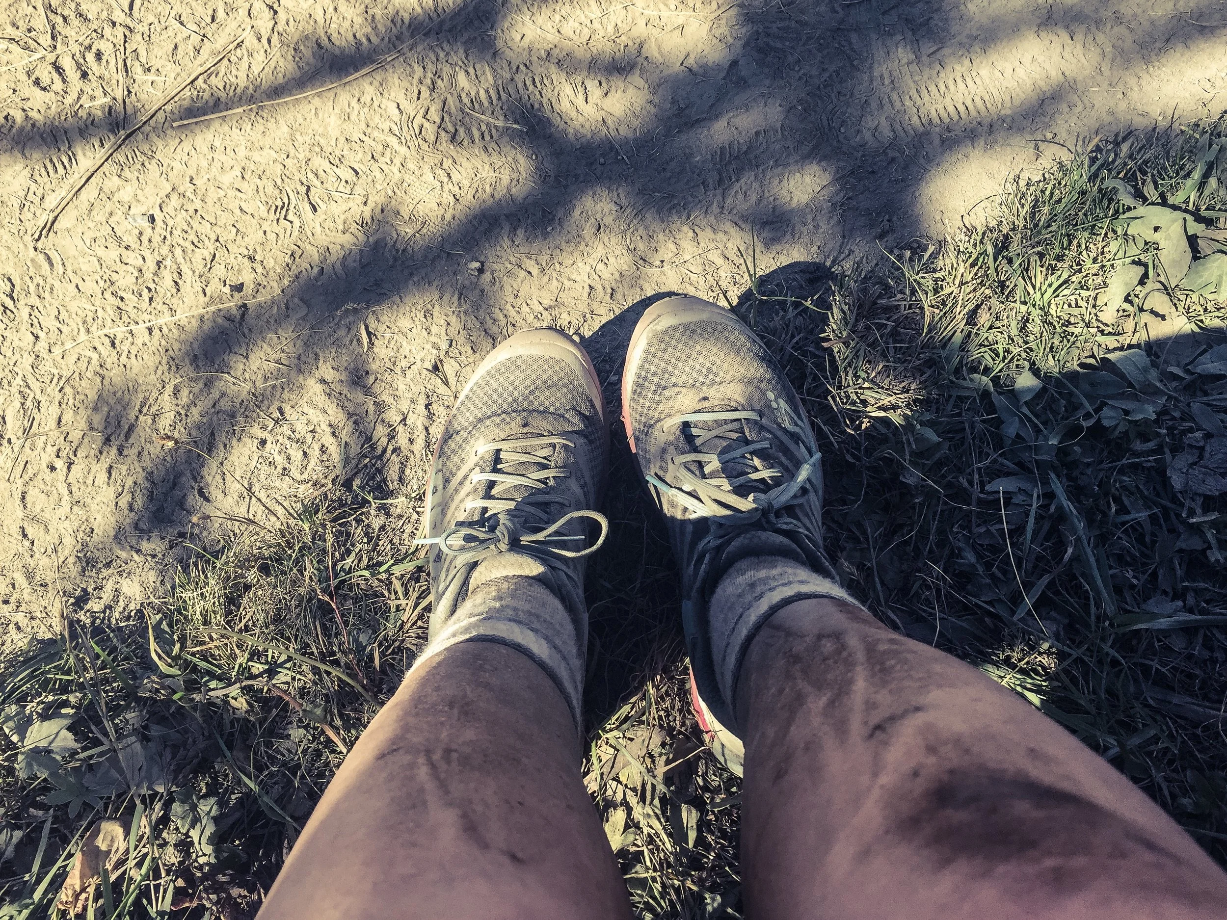 Great camouflage! Dust and mud, sweat and tears. 