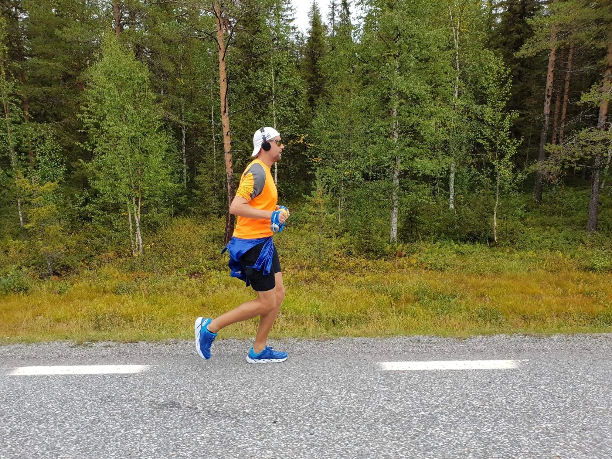 roxengenomsverige.jpg