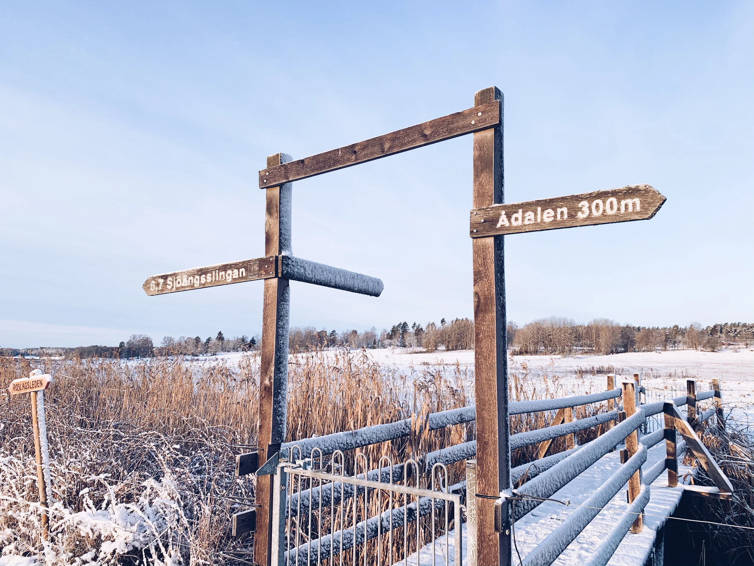 Ofrivillig ultraträning — värsta runstreak-rundan hittills