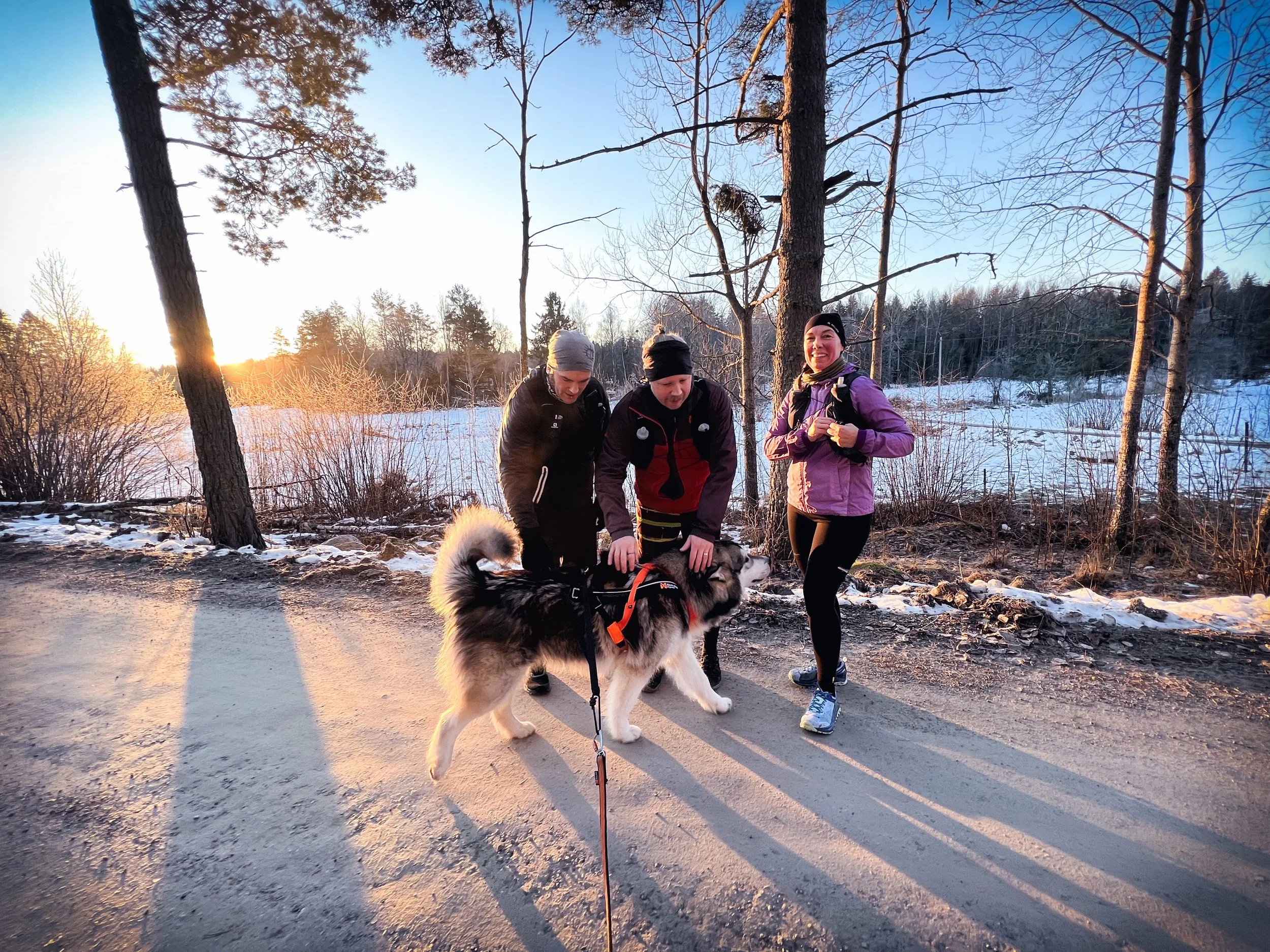 #259 - Frågor och svar om vinterlöpning