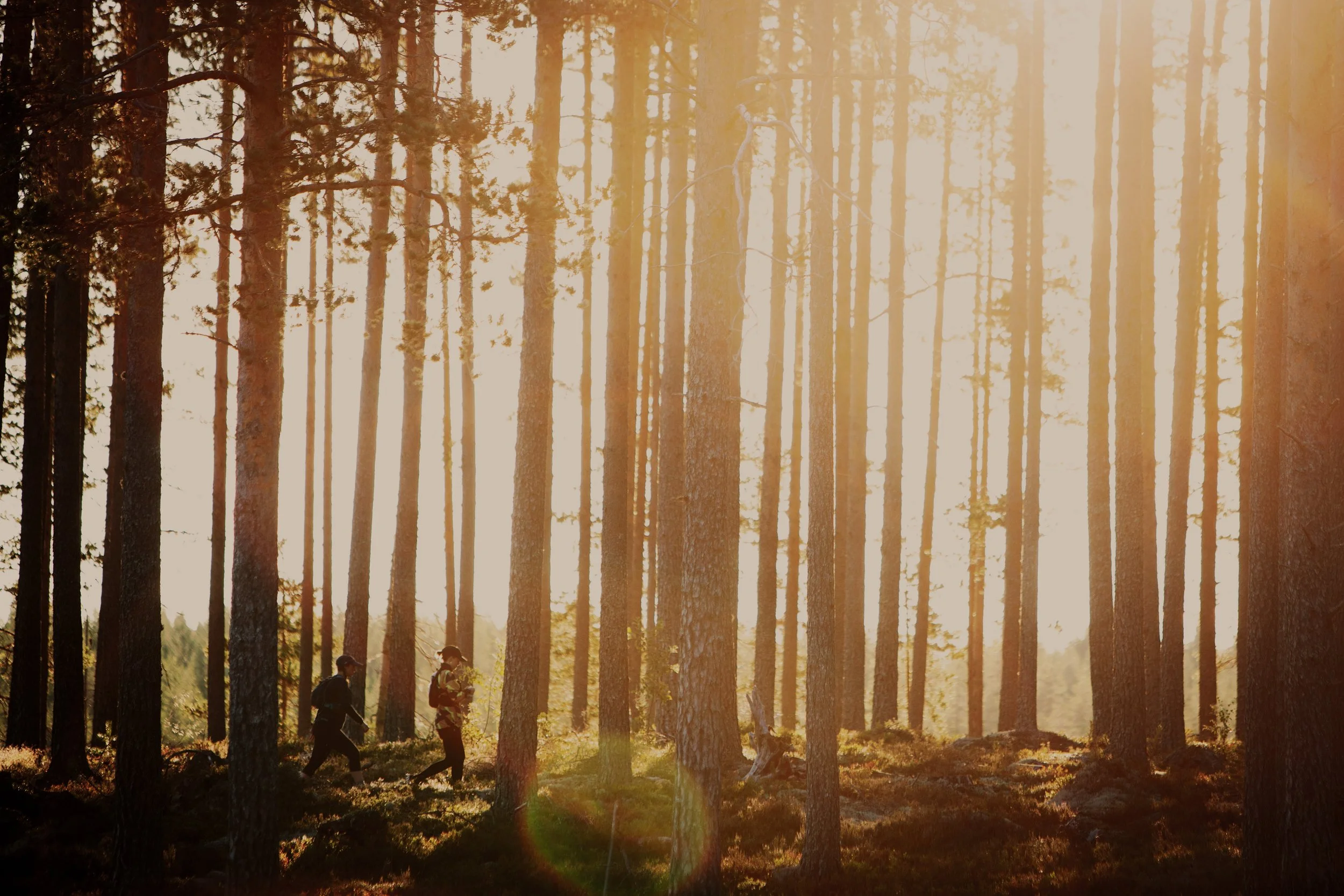 background3-10x10.jpg