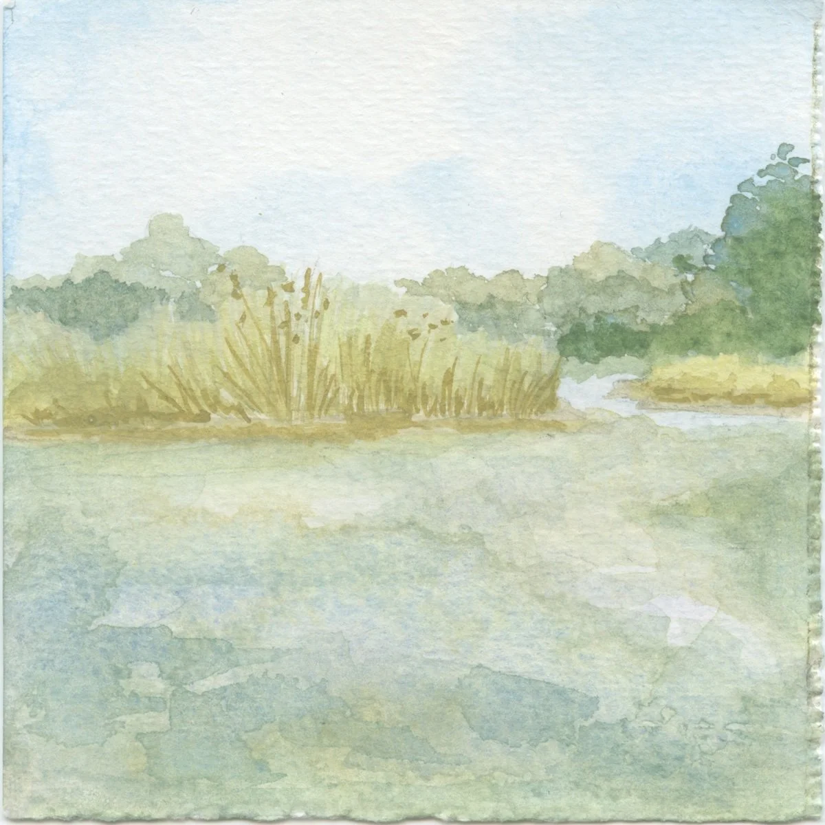 Inland Lake / Up North, 2025