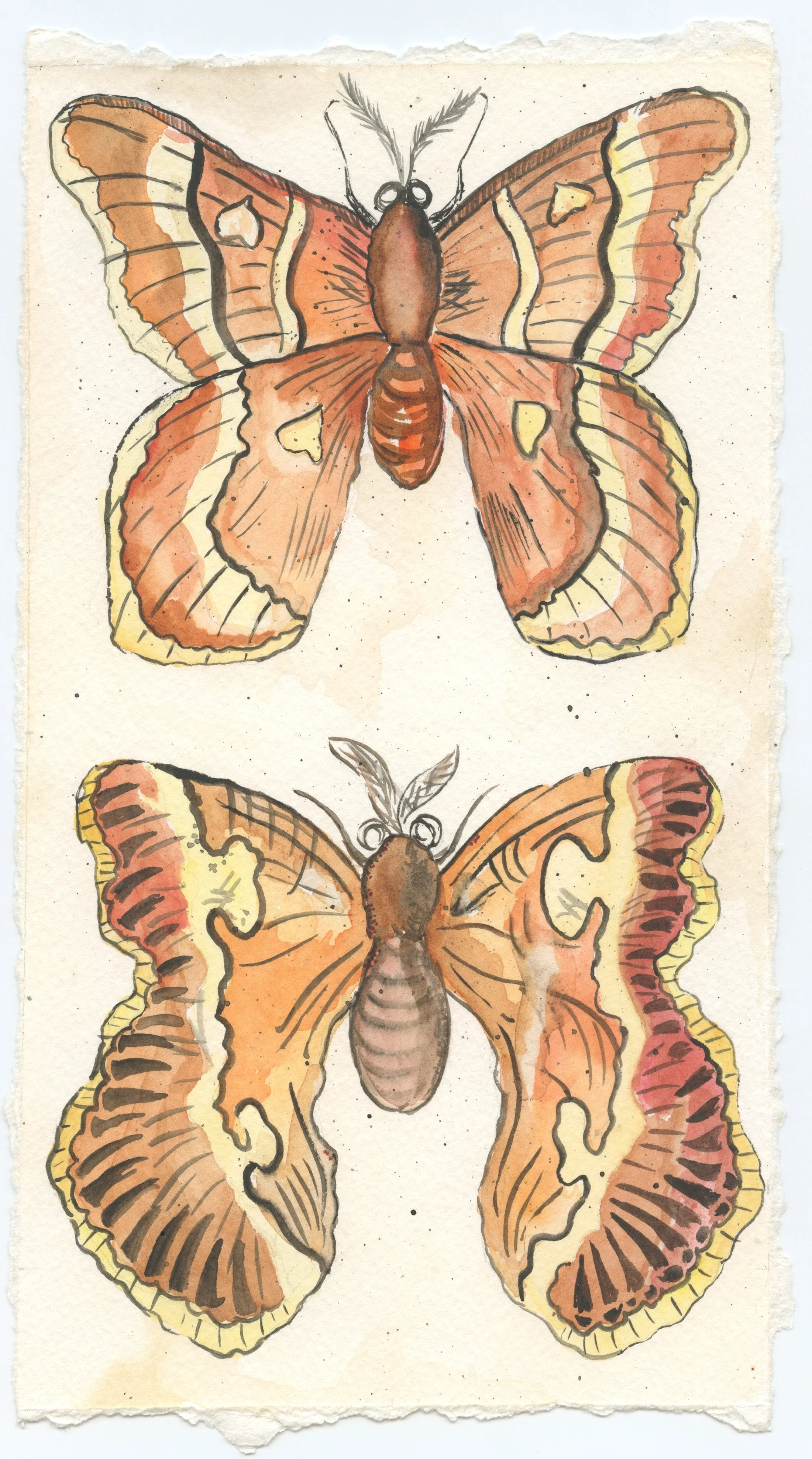 Winged Friends - Print