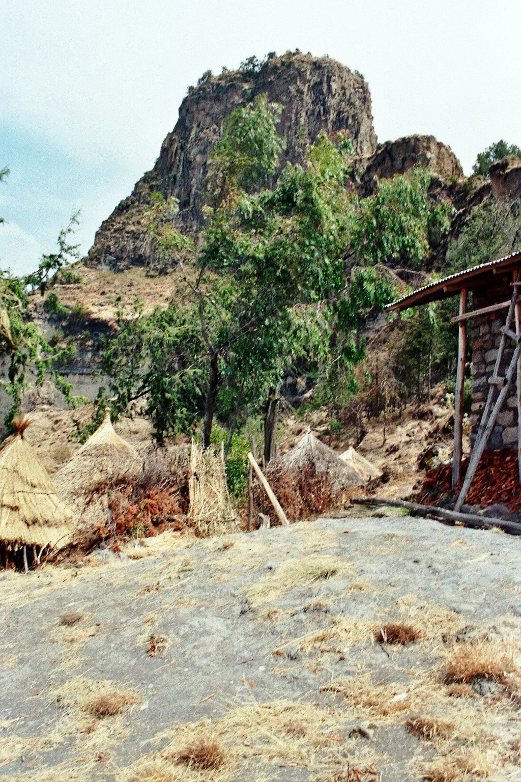 imm000_36.jpg