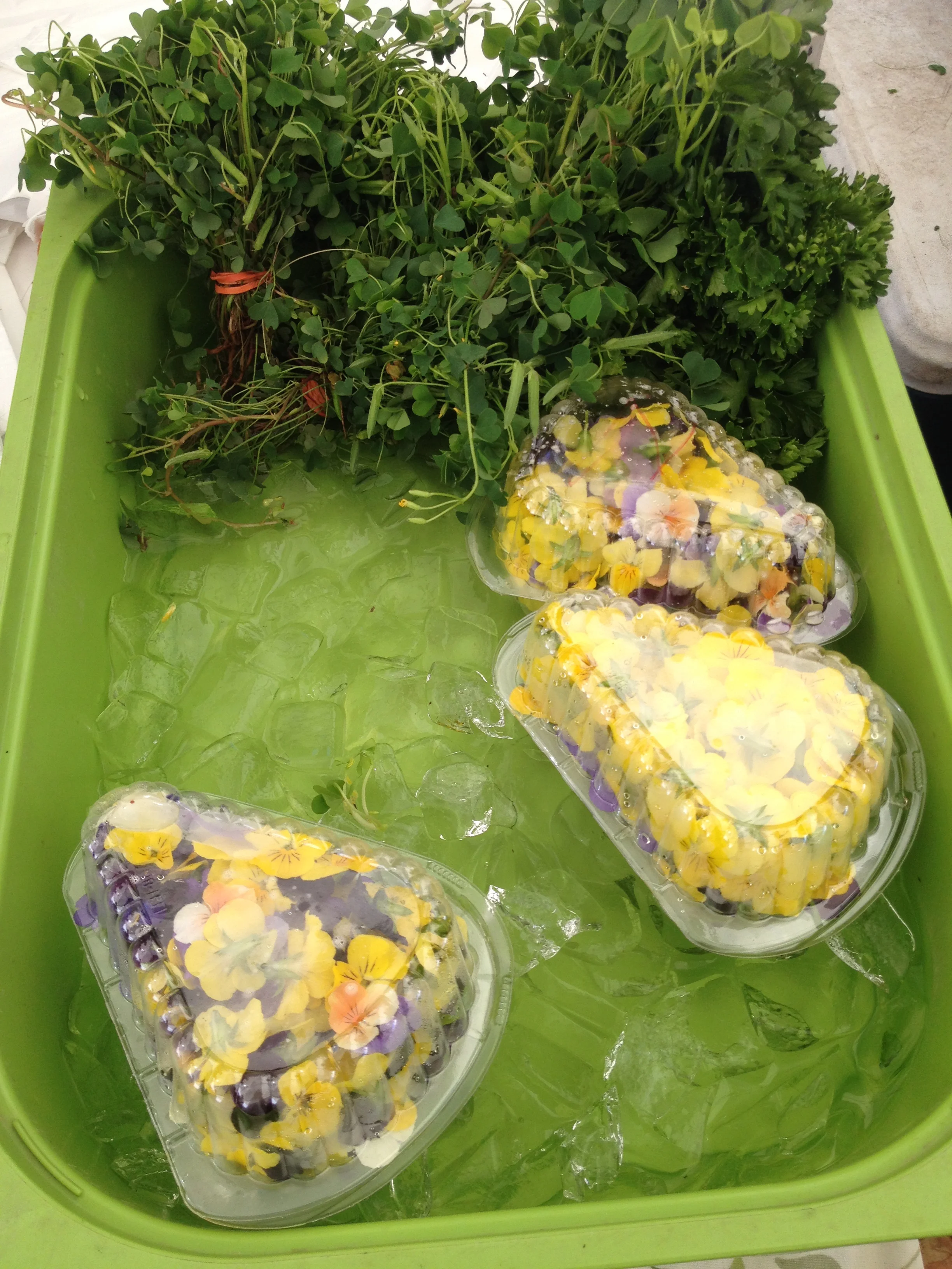 Edible violas from Bodhitree Farm