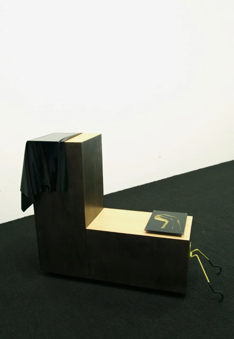 TOUCH (Annie). Latex, silkscreen on plexiglass, silkscreen on latex, maple, plywood and hooks. 43.4 x 35.4 x 15.7 inches. 2016