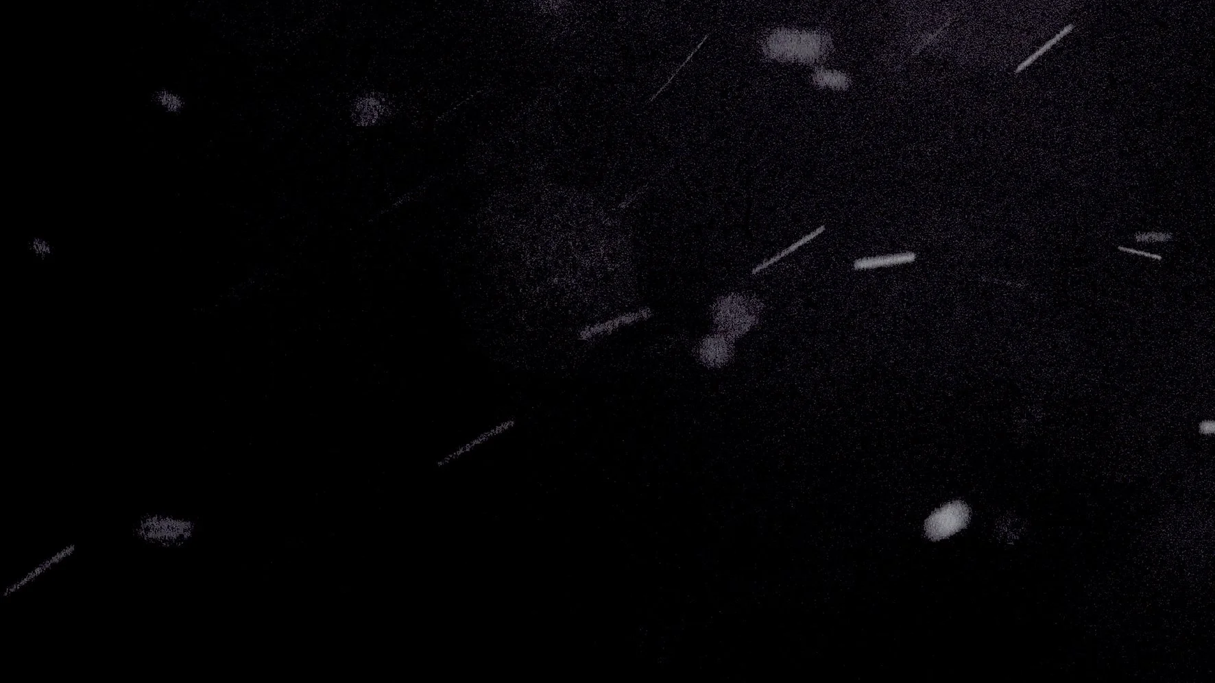 Particle Matter_Itziar Barrio_1.jpg