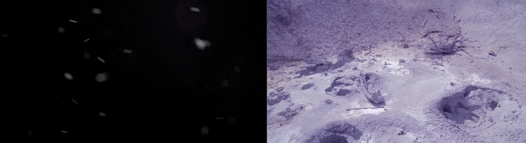 Screenshot 2025-08-20 at 4.02.20 PM.jpeg