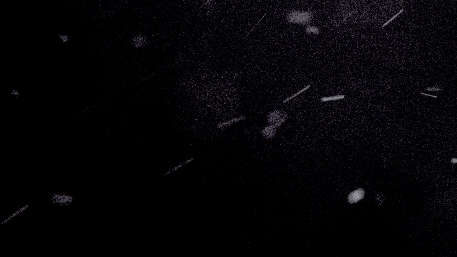 Particle Matter_Itziar Barrio_1.jpg