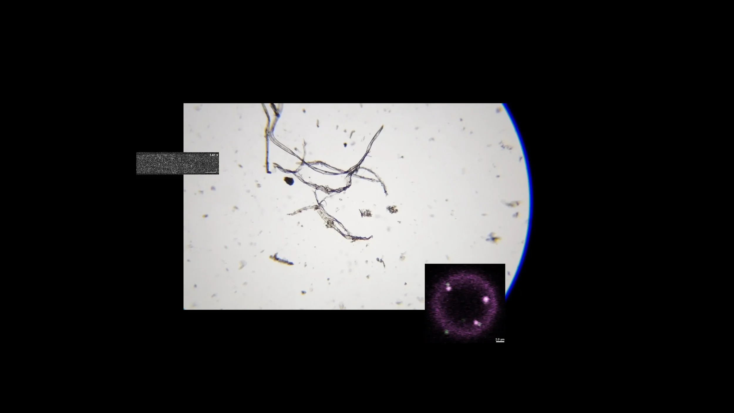 Particle Matter_4_Itziar Barrio_Still.jpg