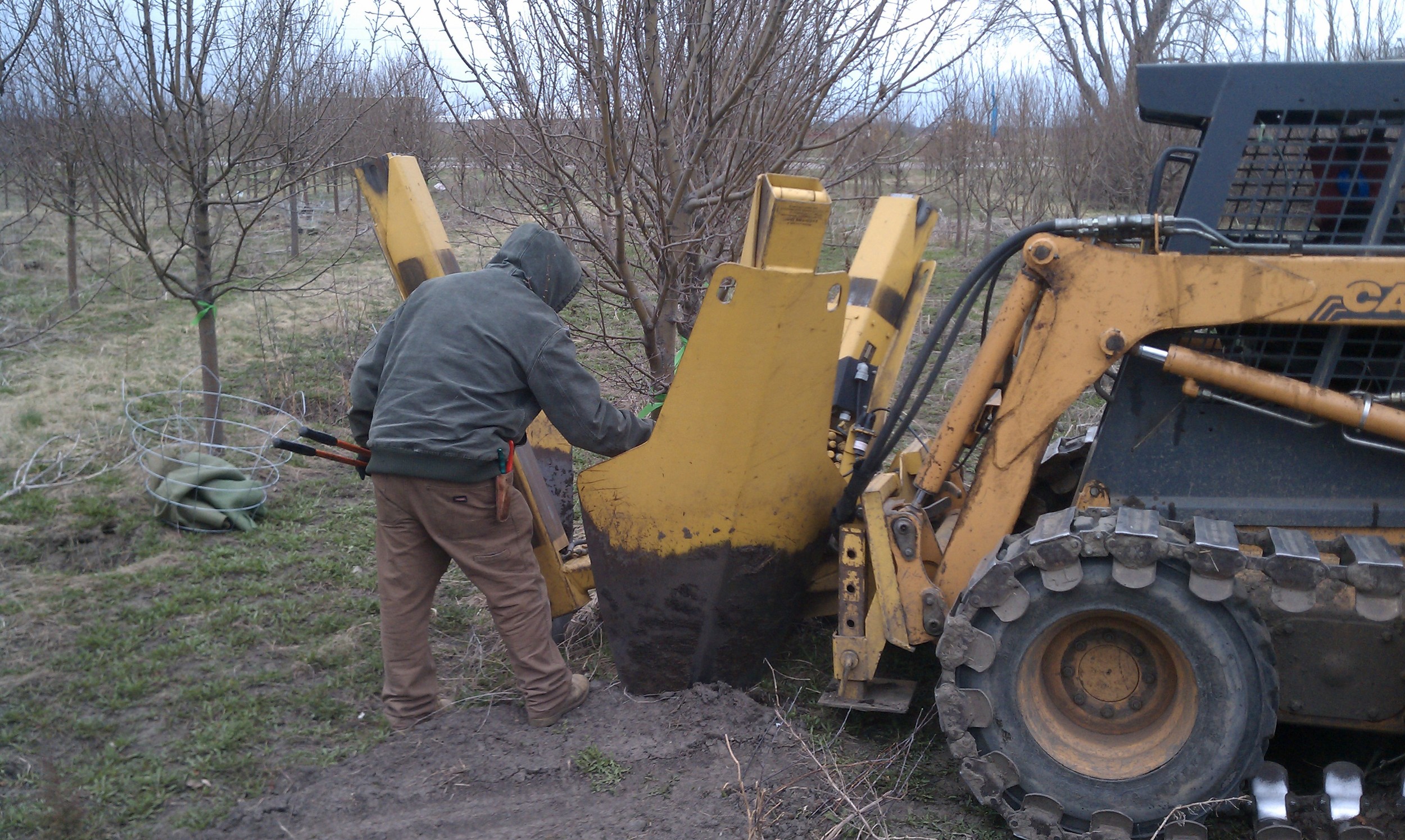 Spring Digging