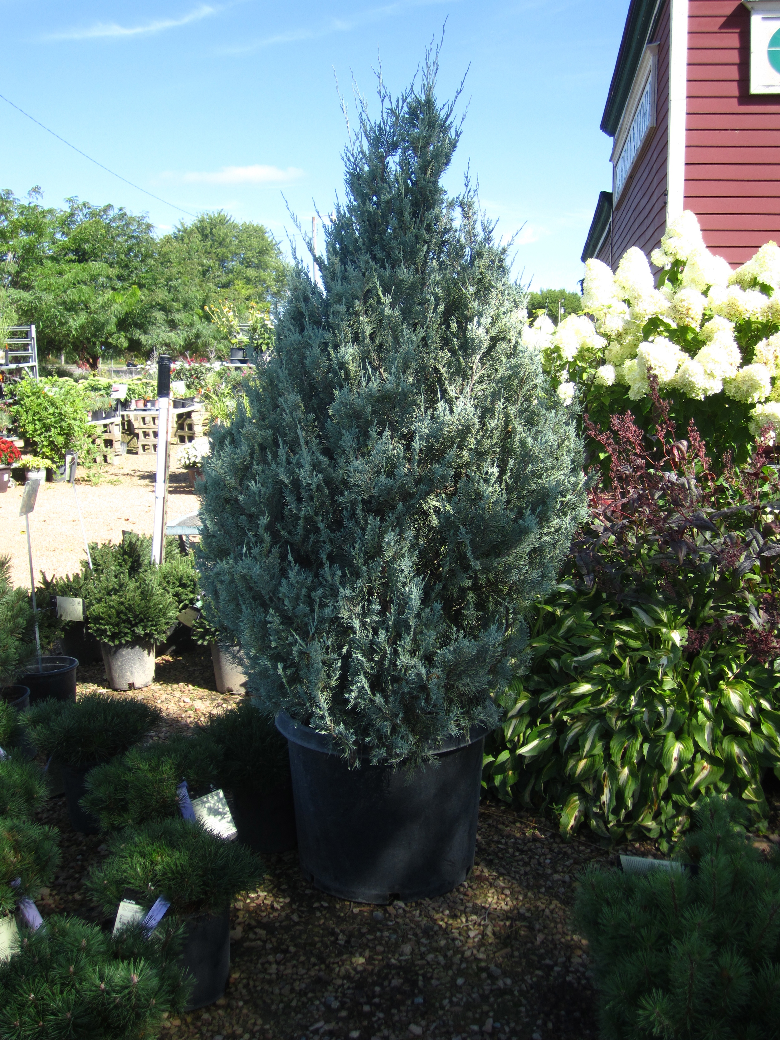 Garden Center — Minnesota Valley Garden Center