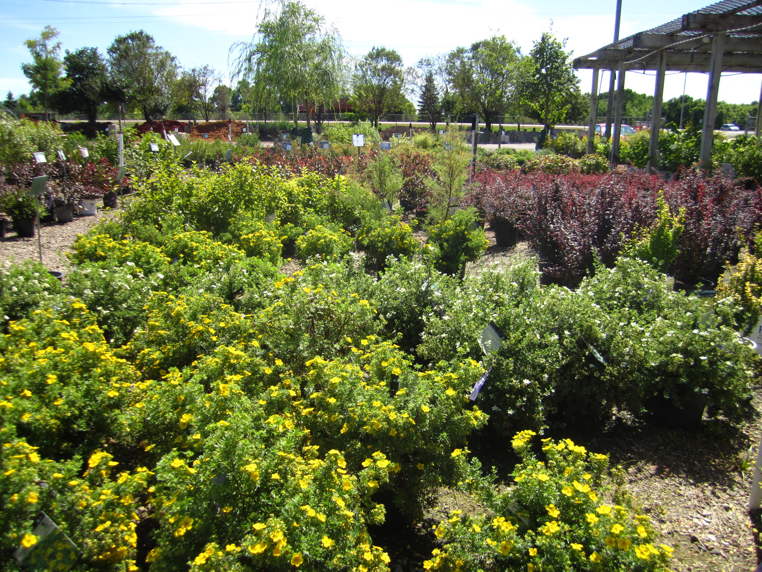 Garden Center — Minnesota Valley Garden Center