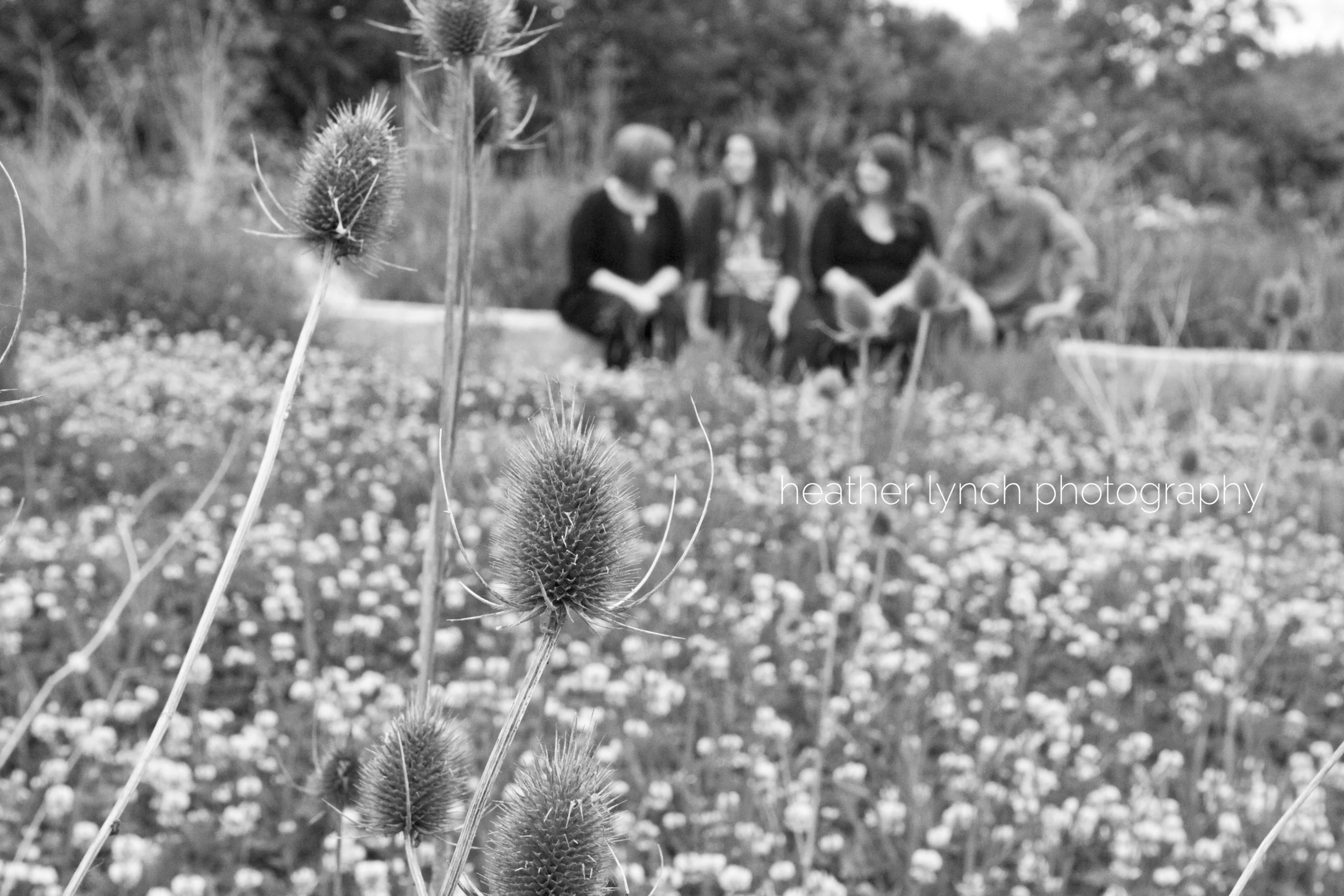 heatherLynchPhotography1.jpg