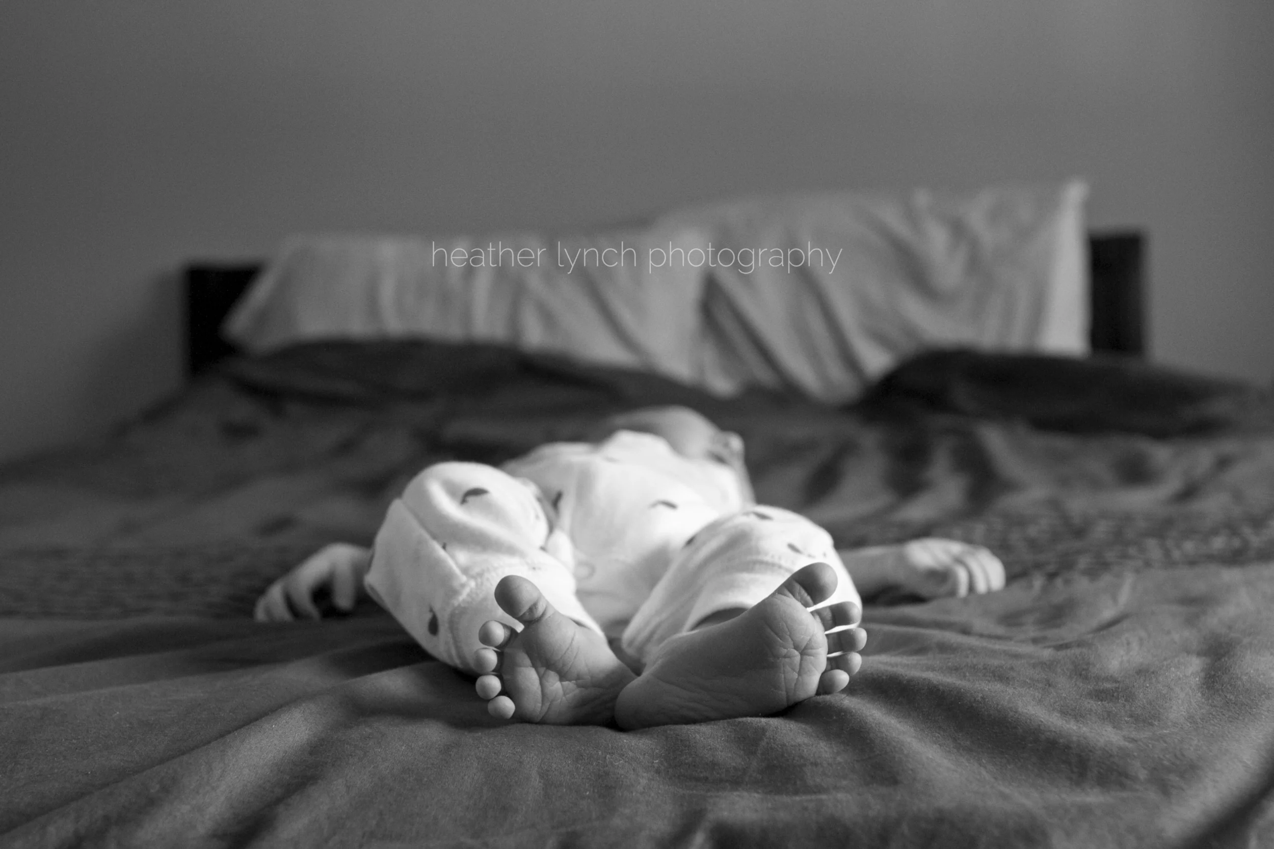 heatherLynchPhotography1.jpg