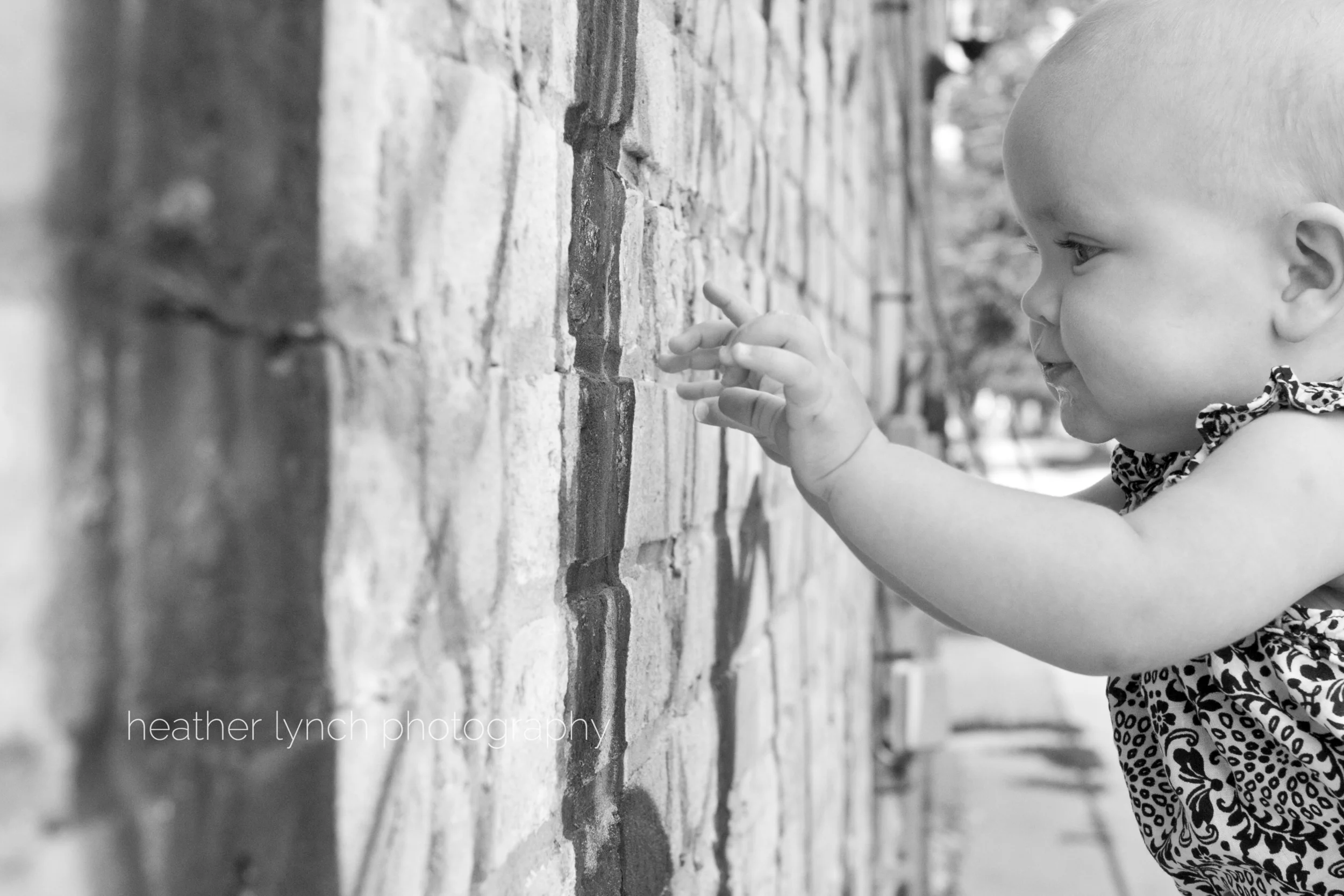 heatherLynchPhotography1.jpg