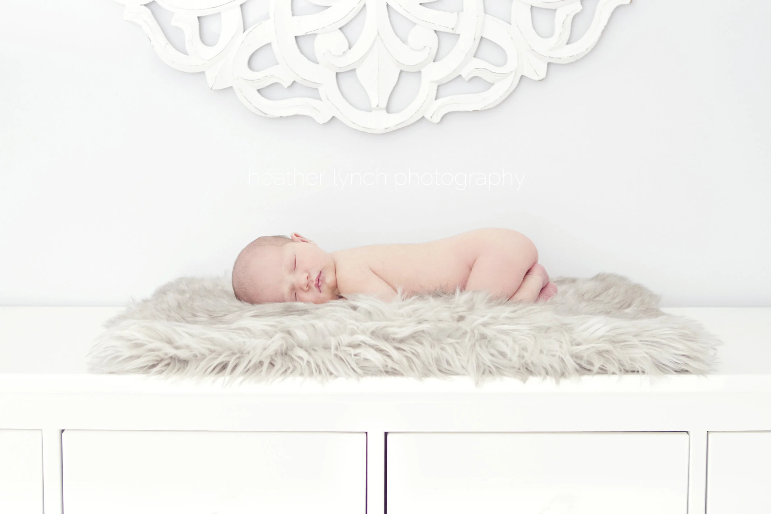 HeatherLynchPhotography1.jpg