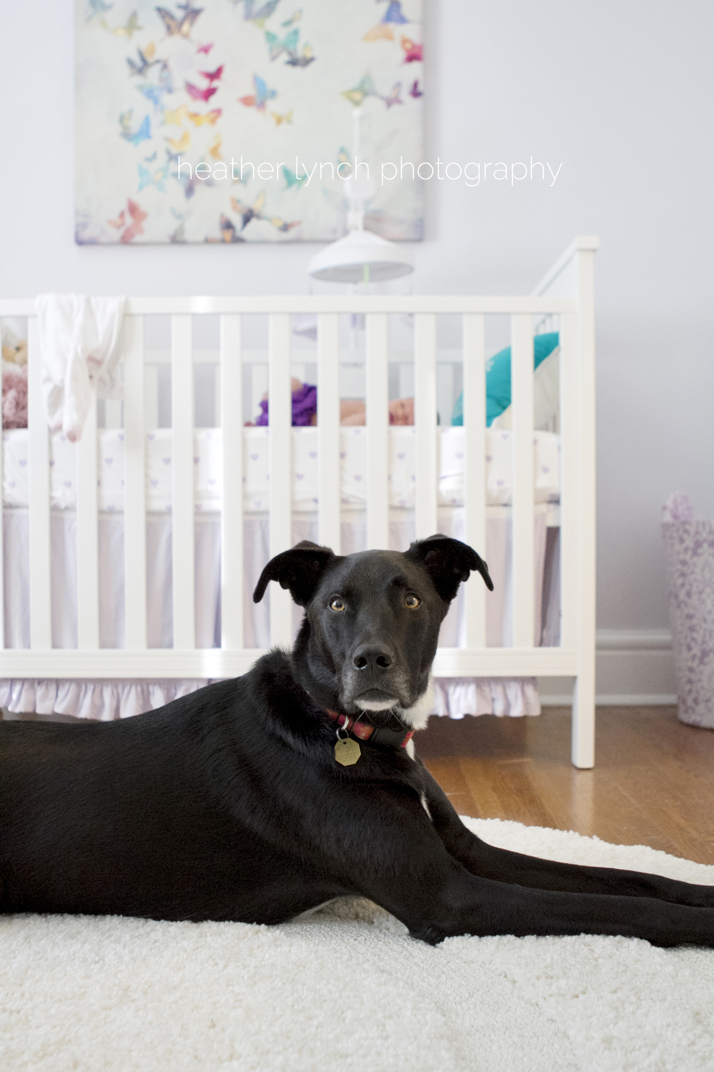 heatherLynchPhotographySCH1.jpg