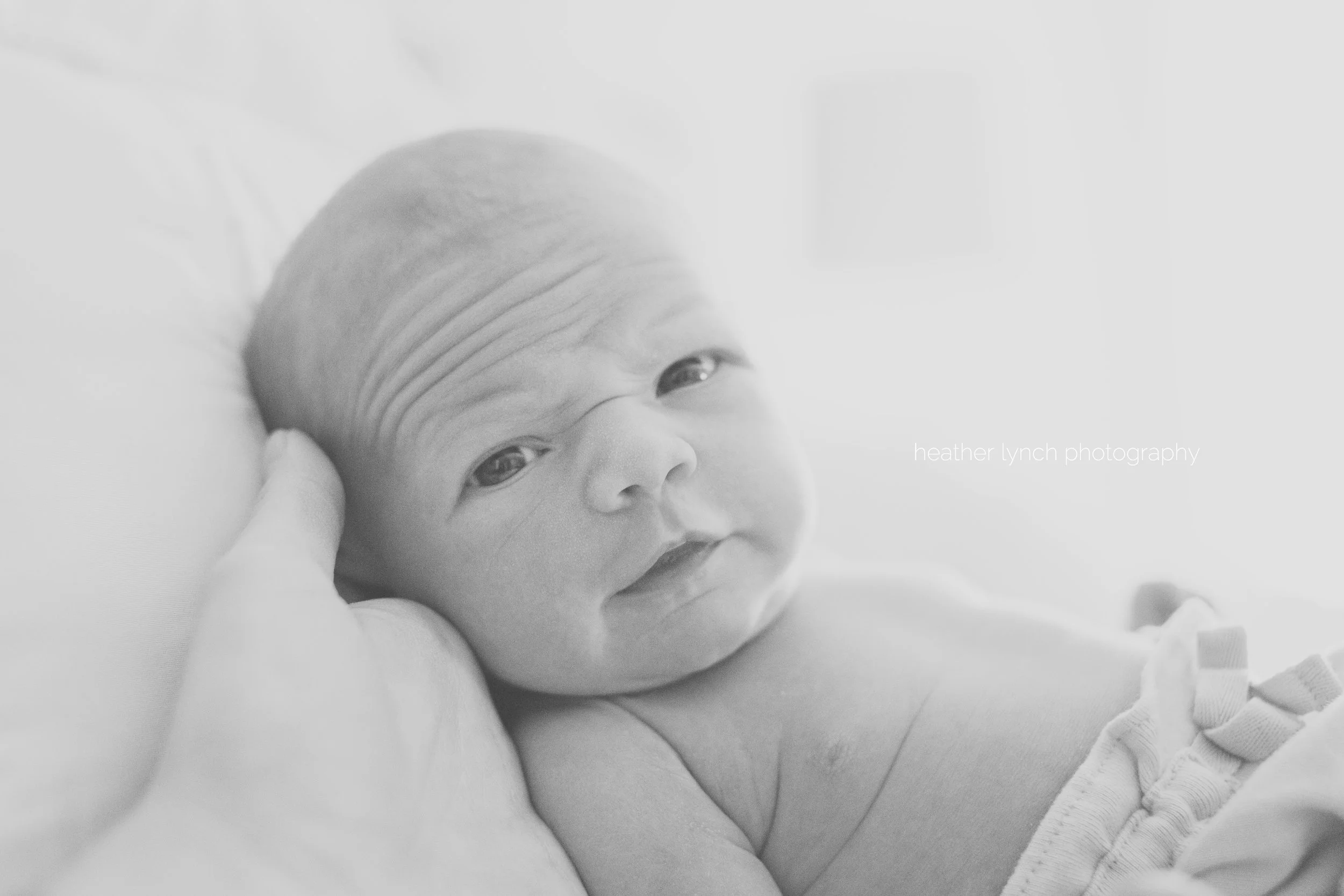 HeatherLynchPhotographyAH8.jpg