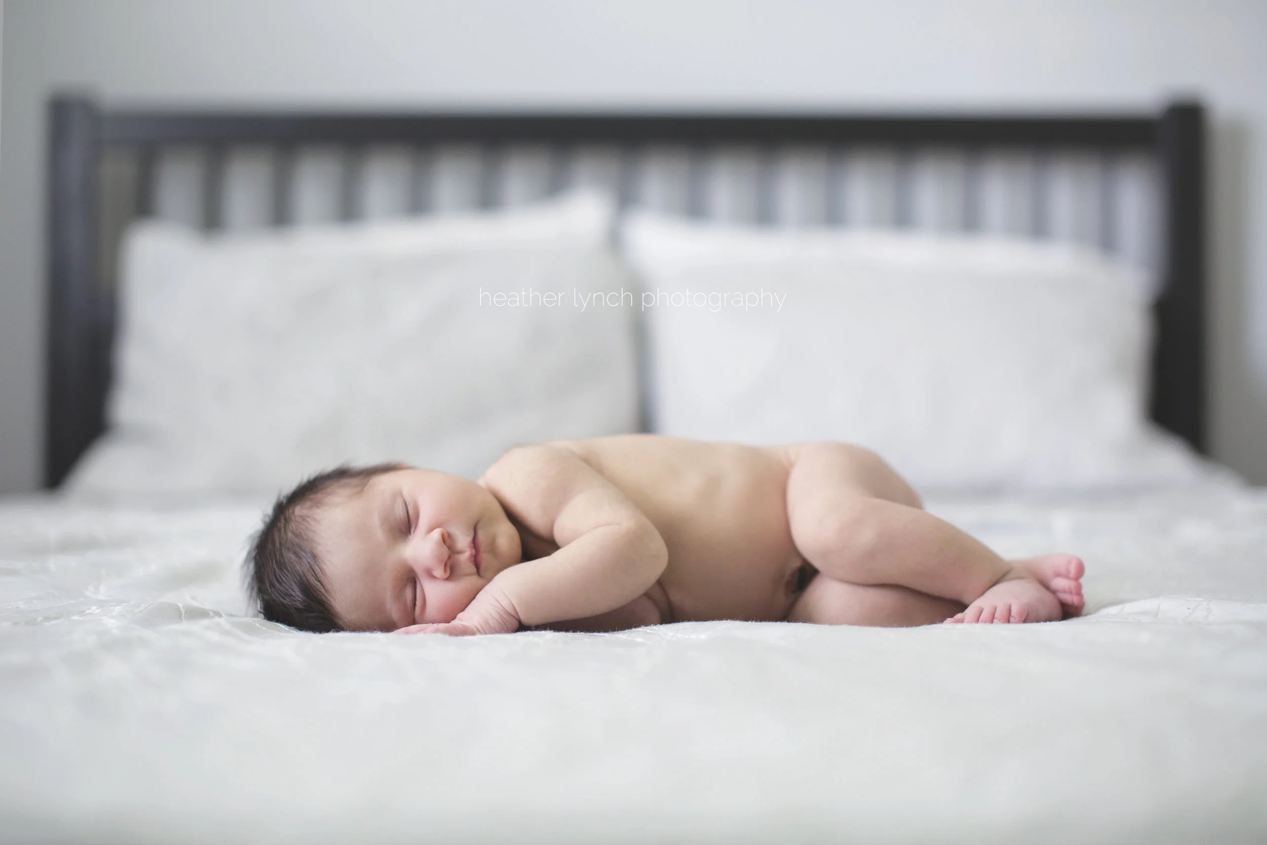 HeatherLynchPhotographyGB2.jpg