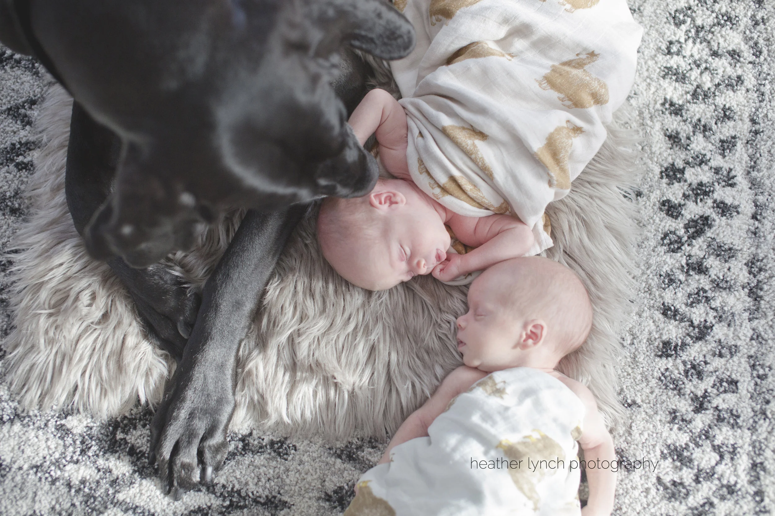 HeatherLynchPhotographySC2.jpg