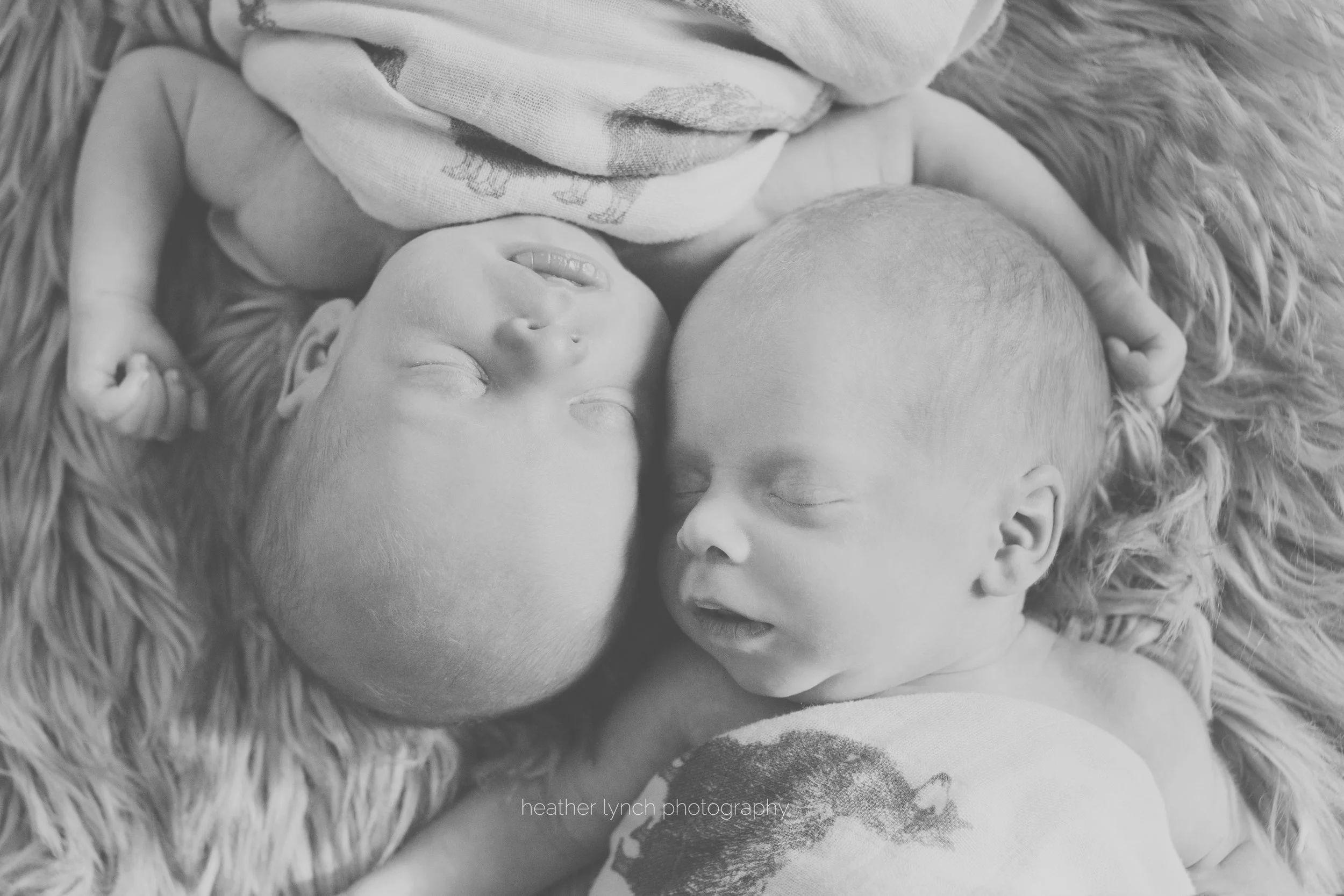 HeatherLynchPhotographySC1.jpg
