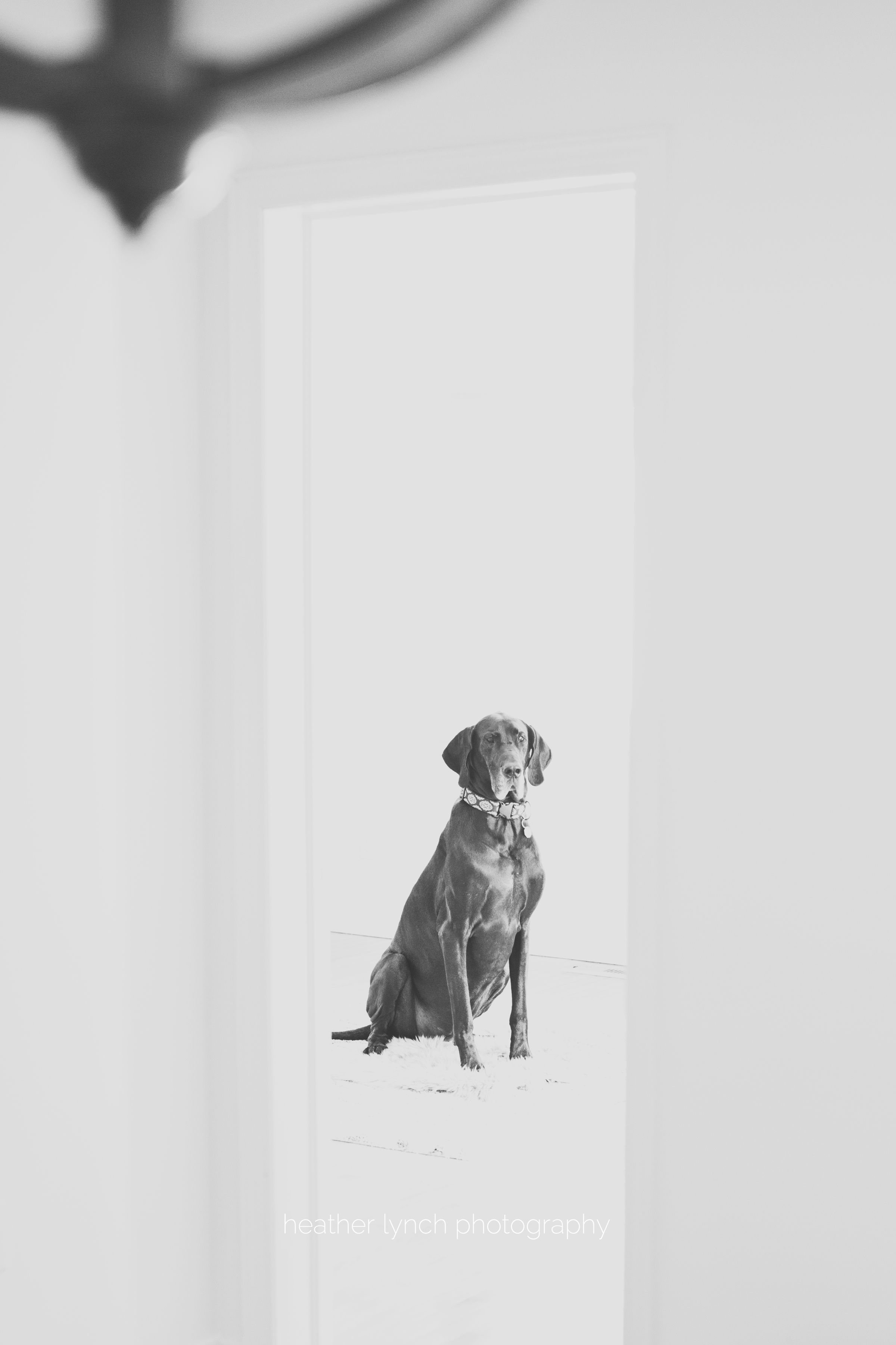 HeatherLynchPhotographySC8.jpg