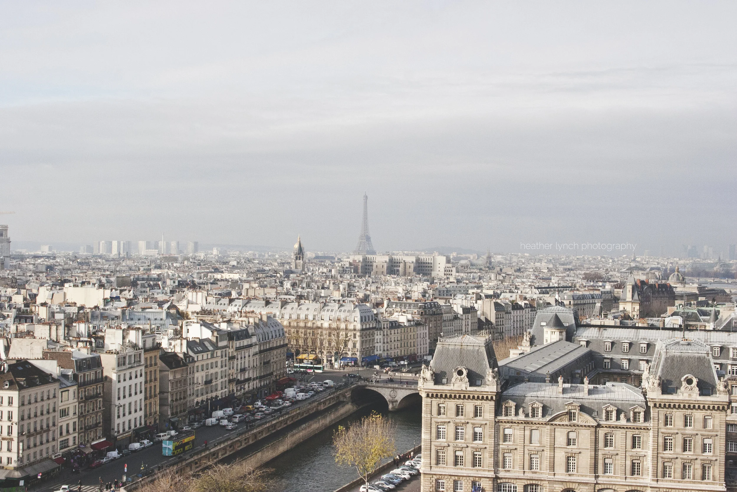 The view from the top of Notre Dame, toward the Eiffel Tower.