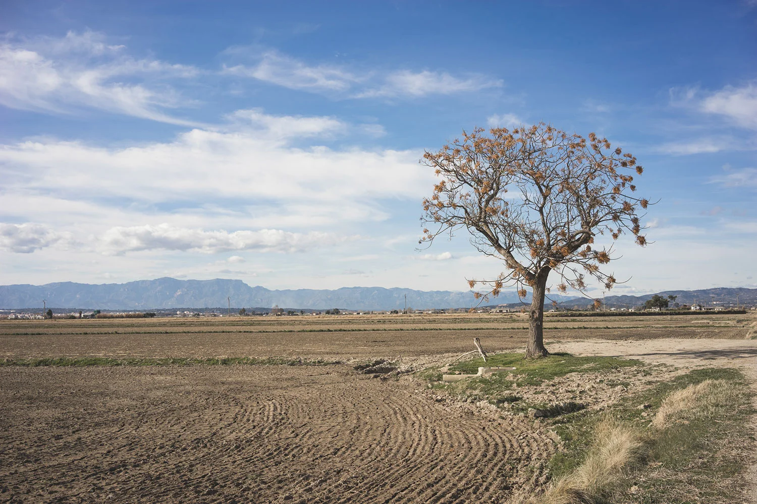 Delta del Ebro