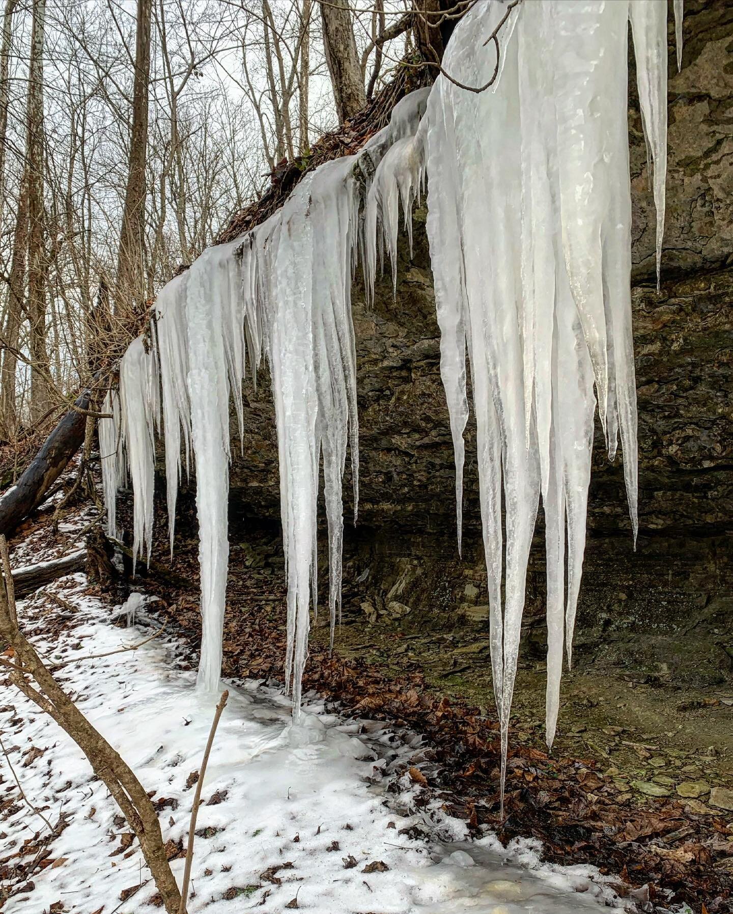 Curtains of ice today. 
.
#winterhike #icicles #ice #icesculptures