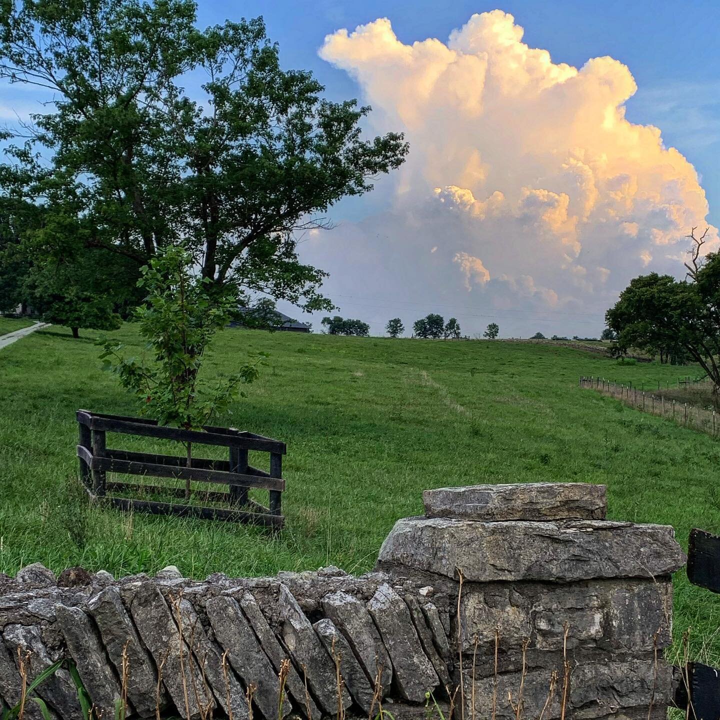 Storms rolling through Kentucky farmland these days. 
.
#kentuckyweather #summerthunderstorms #conservedfarmland #stonefence