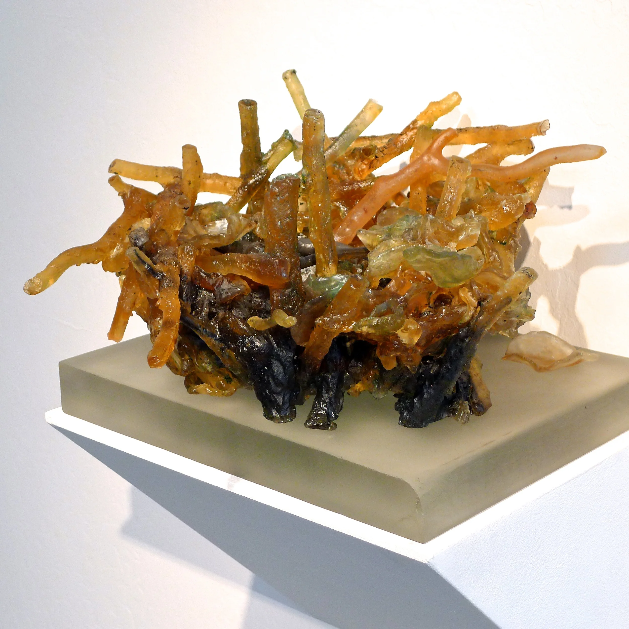 Branches and leaves .JPG