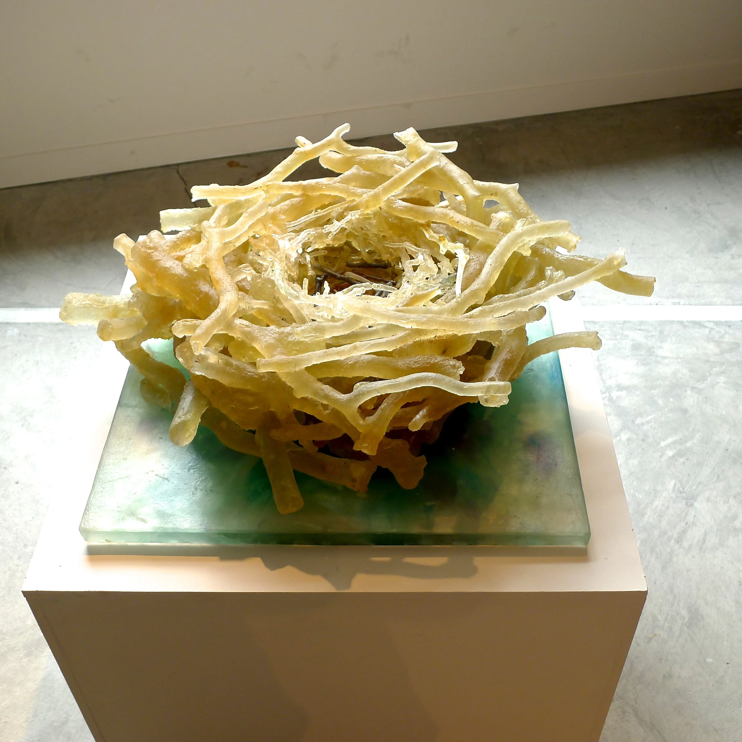 osprey 2 installation view.JPG