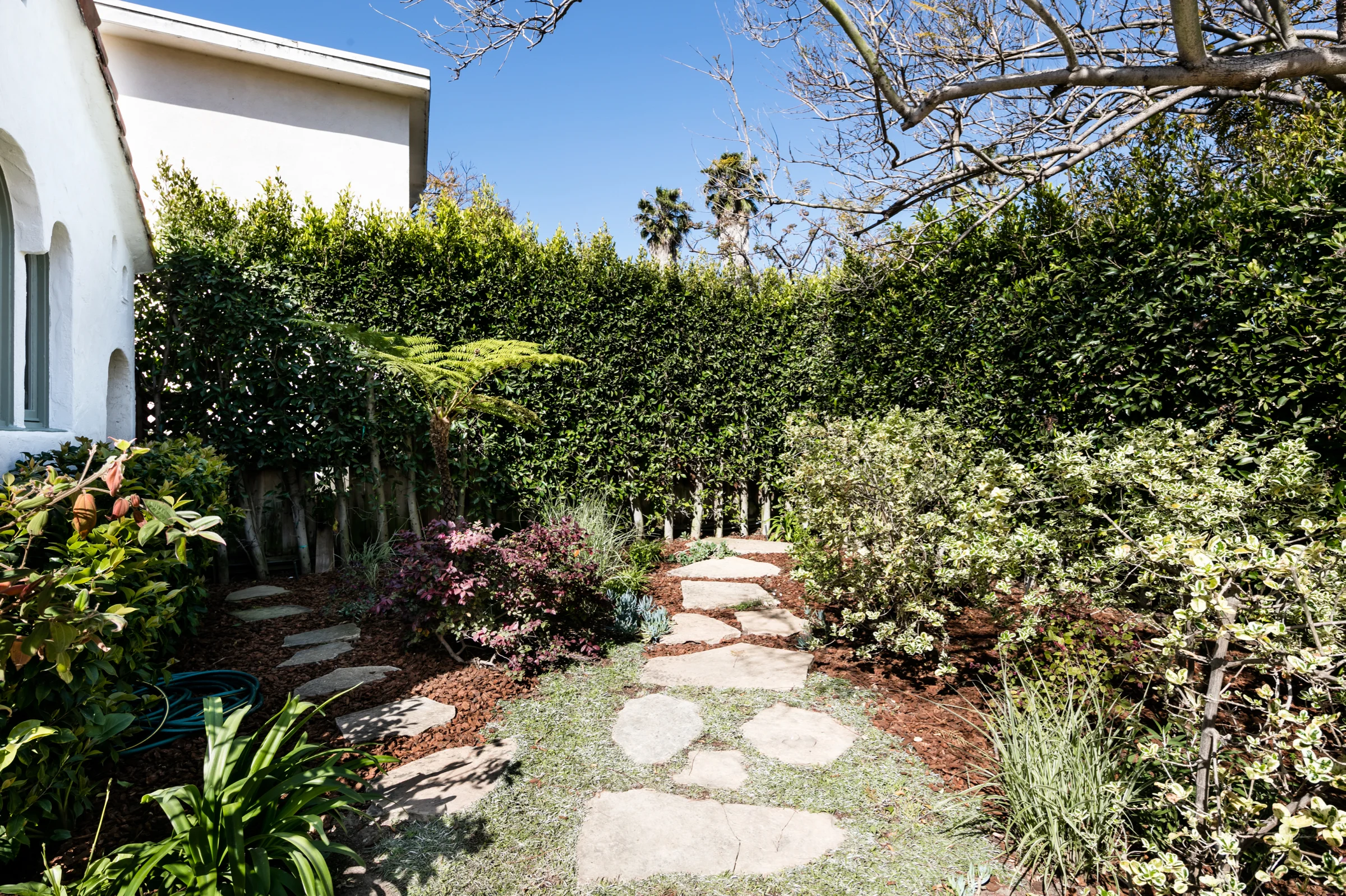 395A3121-Edit copy.jpg