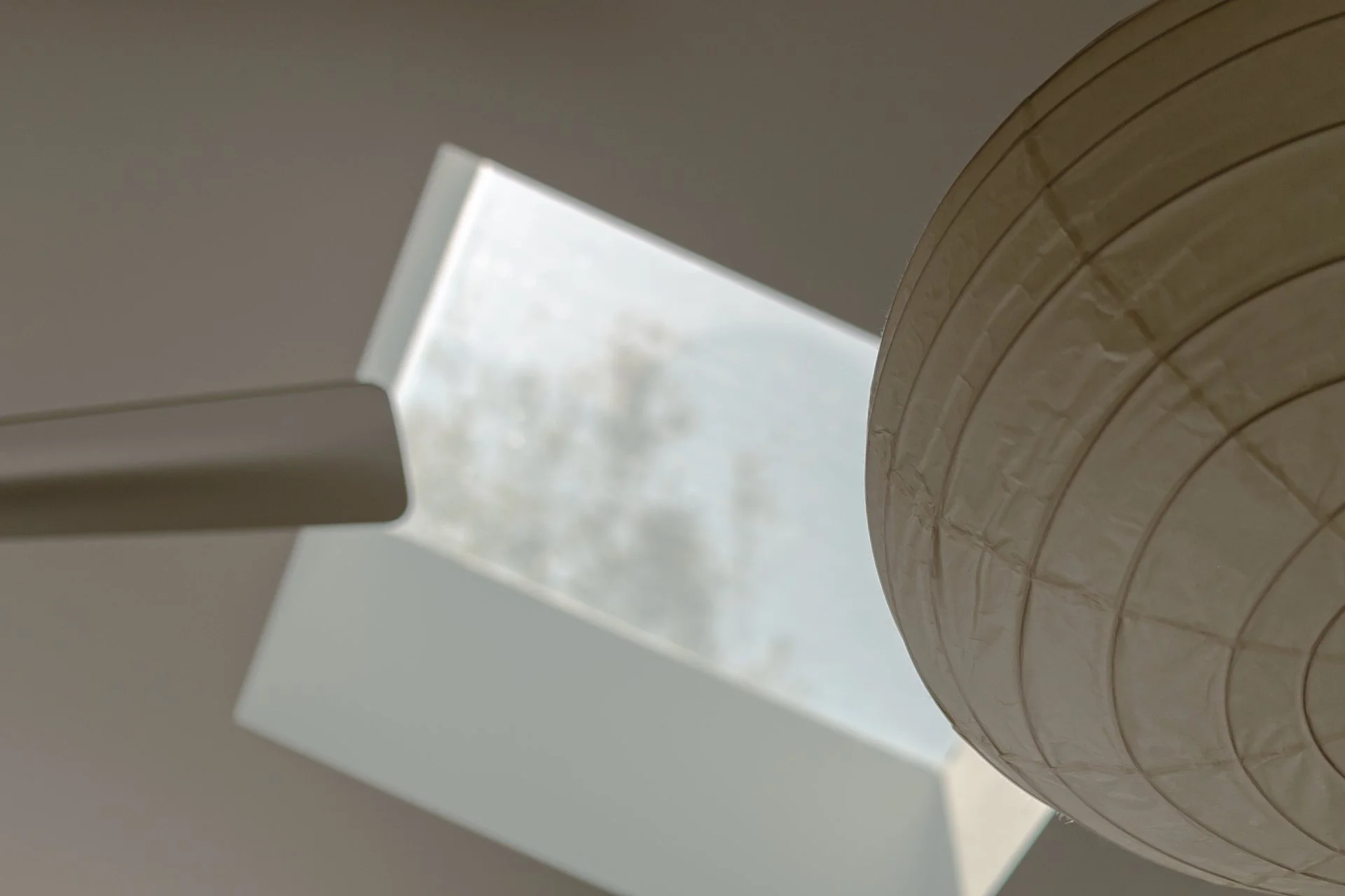 Tennessee - 3 of 3.jpeg